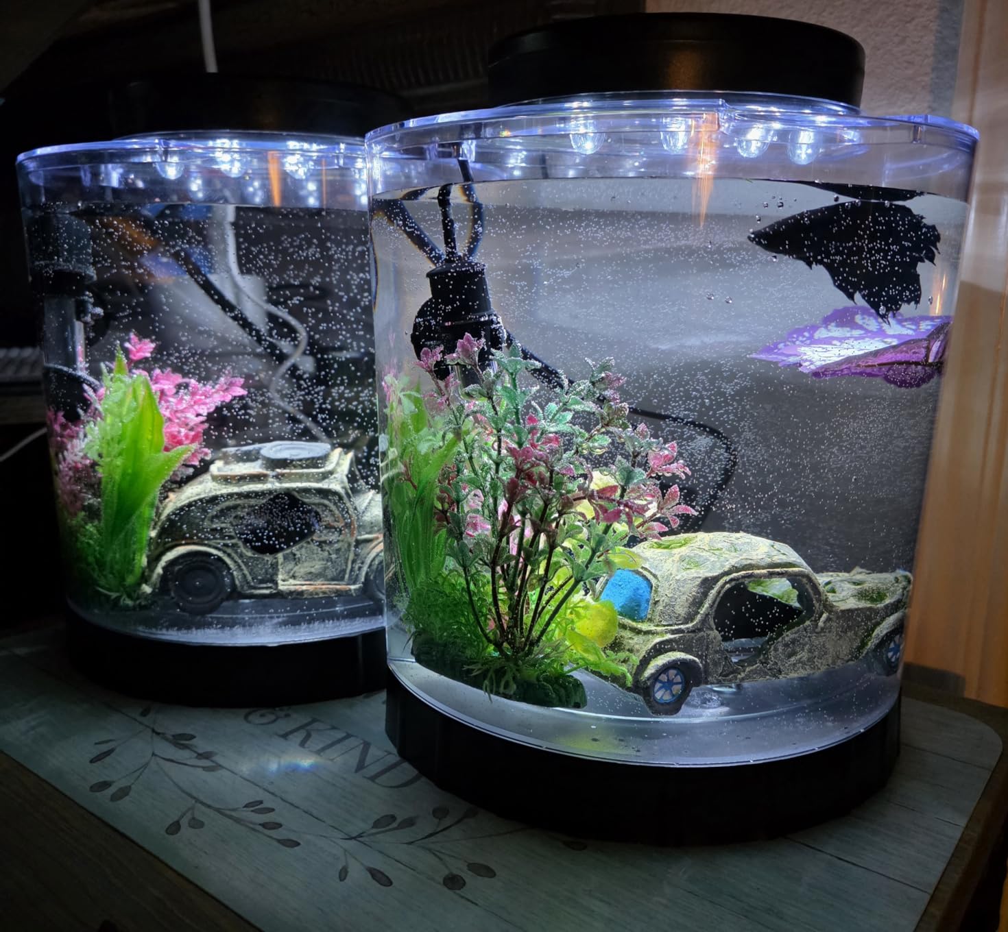 Tetra LED Half Moon Aquarium Kit, 1.1 Gallons, Small, Clear Plastic Fish Tank With Curved Front, Easy Feeding And Movable, Energy-Efficient LEDs Ideal For Bettas Great As Desk Aquarium customer photo 2