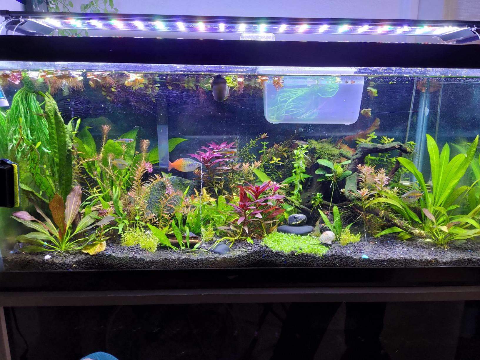 Fluval Sea CP2 Wave Maker Circulation Pump for Freshwater & Saltwater Aquariums, 14346 customer photo 1