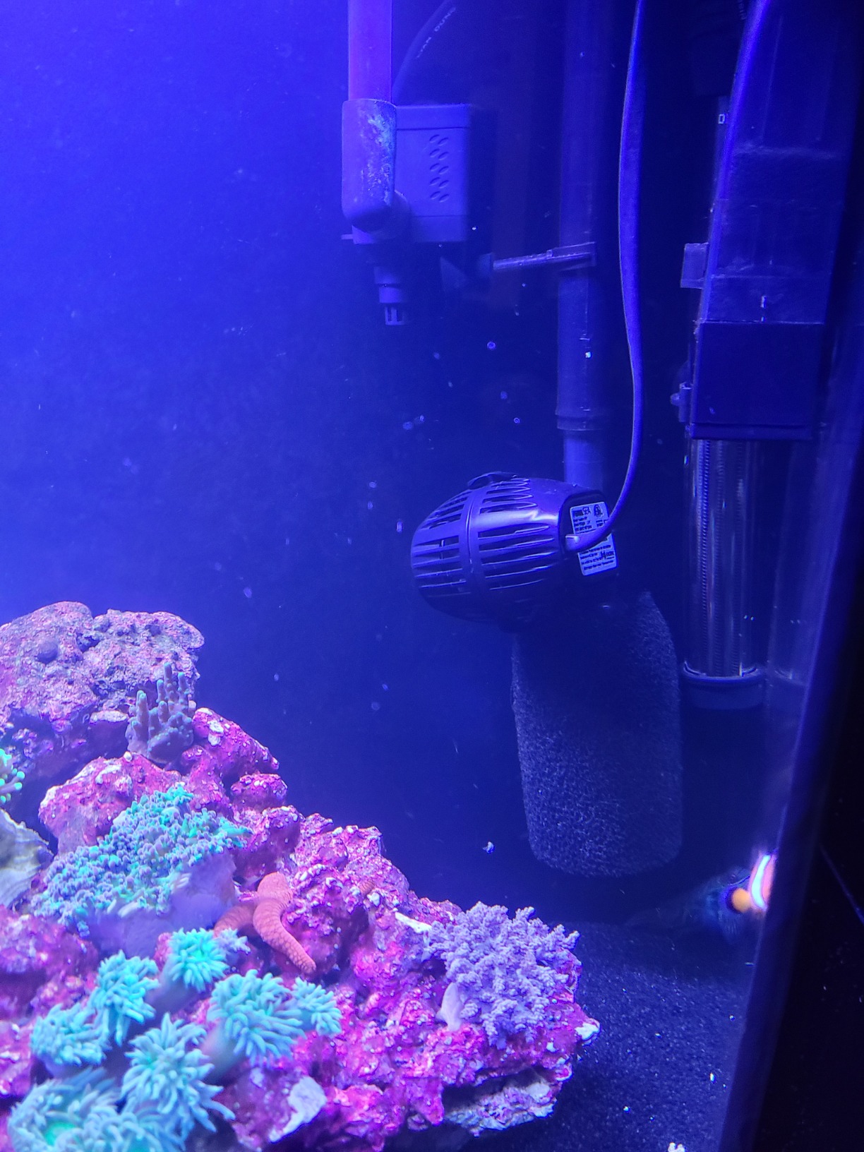 Fluval Sea CP2 Wave Maker Circulation Pump for Freshwater & Saltwater Aquariums, 14346 customer photo 2