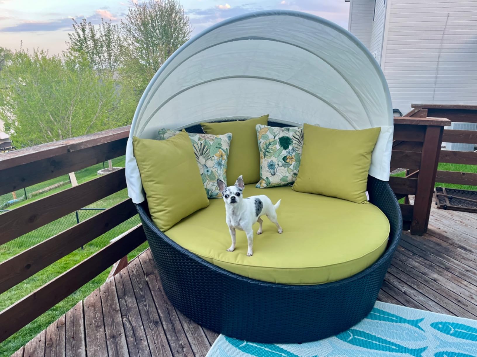 Modway Siesta Wicker Rattan Outdoor Patio Canopy Daybed in Espresso Peridot customer photo 1