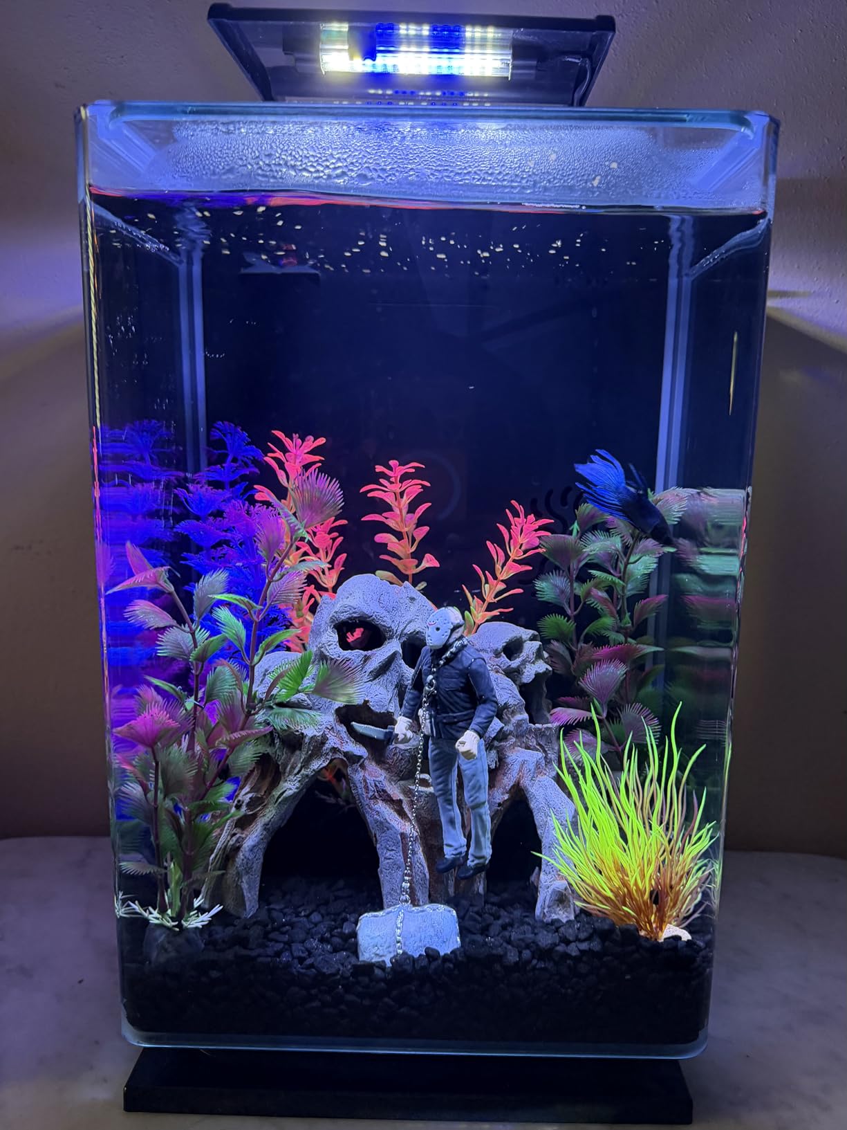 Marineland Portrait Glass LED Aquarium Kit, 5 Gallons, Hidden Filtration,Black customer photo 2