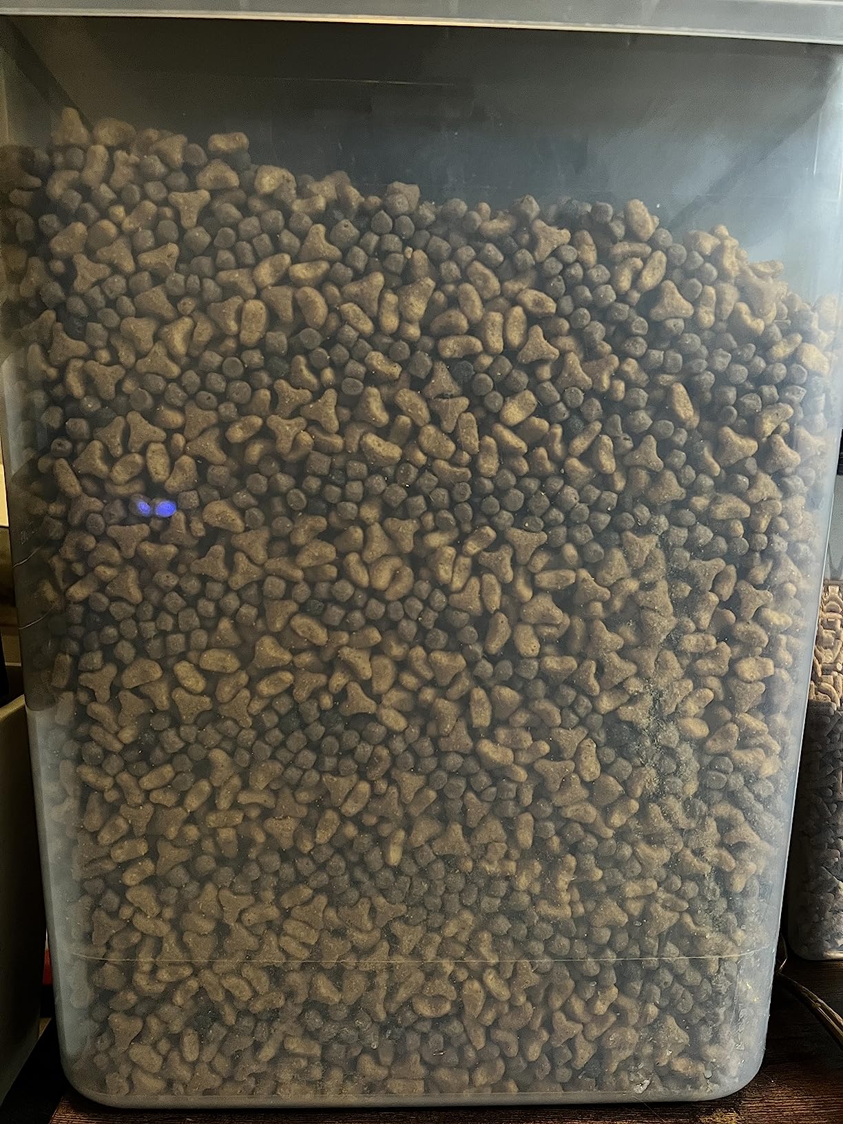 Blue Buffalo Wilderness with Salmon Natural High-Protein Grain-Free Dry Food for Adult Cats, Real Salmon First, Antioxidant-Rich LifeSource Bits Support Immunity, Promotes Strong Muscles, 5 lbs. customer photo 1