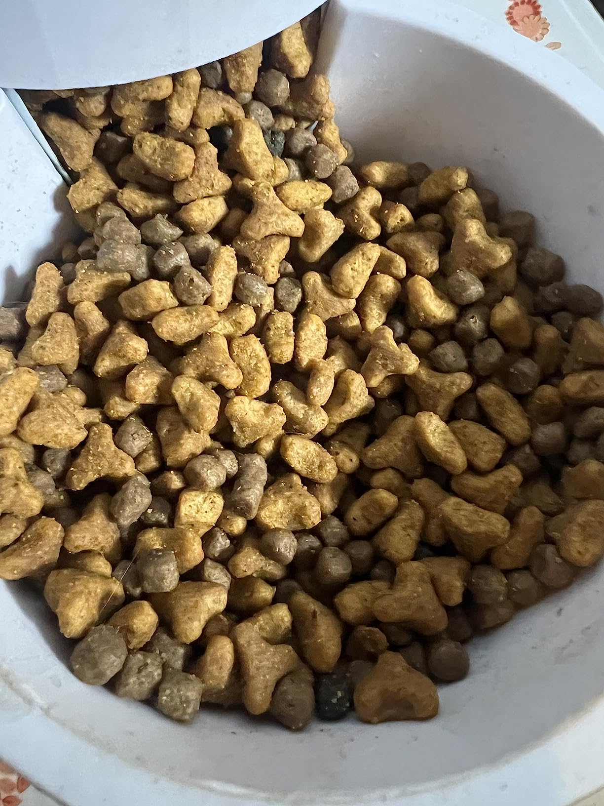 Blue Buffalo Wilderness with Salmon Natural High-Protein Grain-Free Dry Food for Adult Cats, Real Salmon First, Antioxidant-Rich LifeSource Bits Support Immunity, Promotes Strong Muscles, 5 lbs. customer photo 2