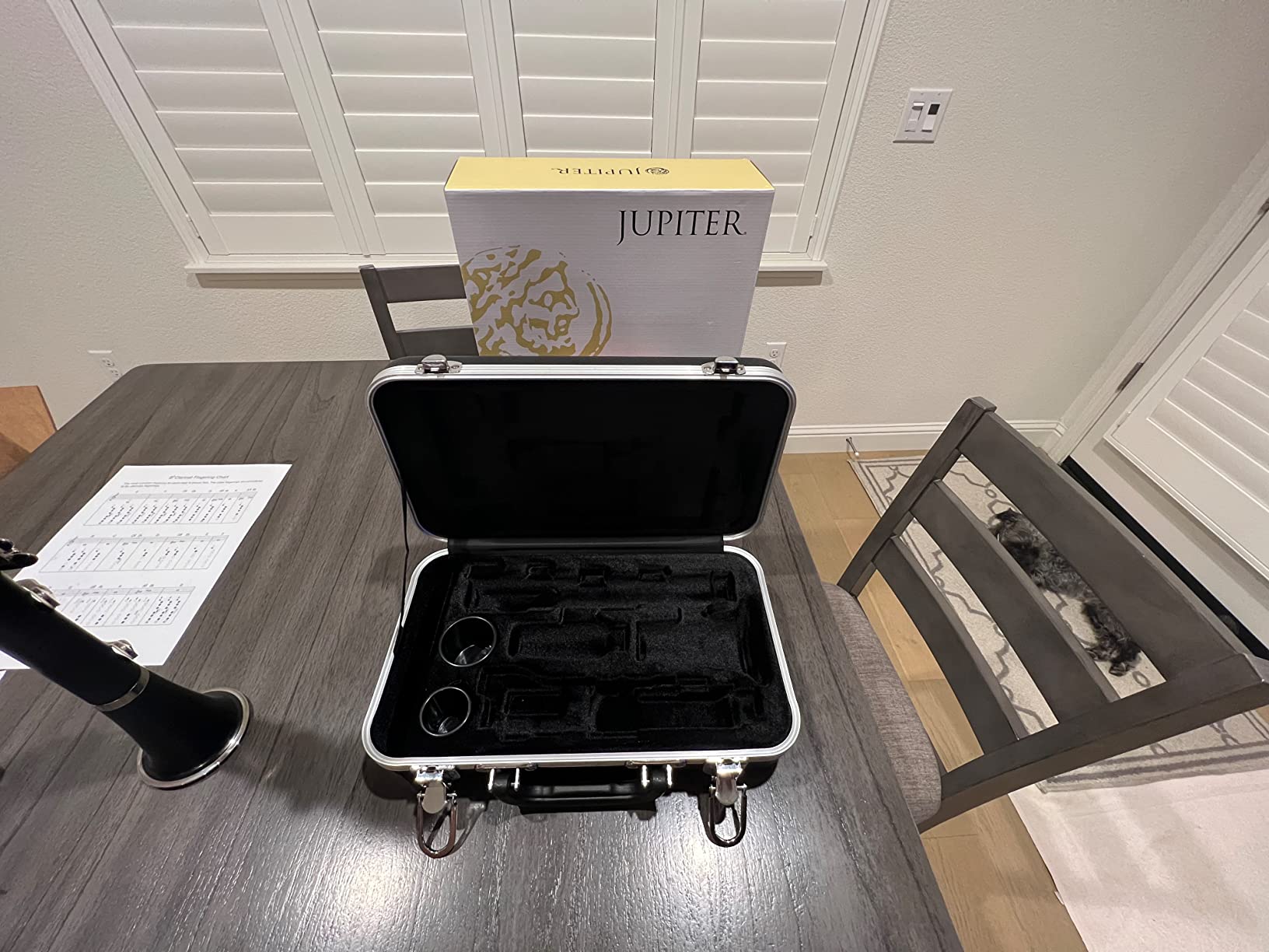 Jupiter JCL700N Bb Clarinet customer photo 1