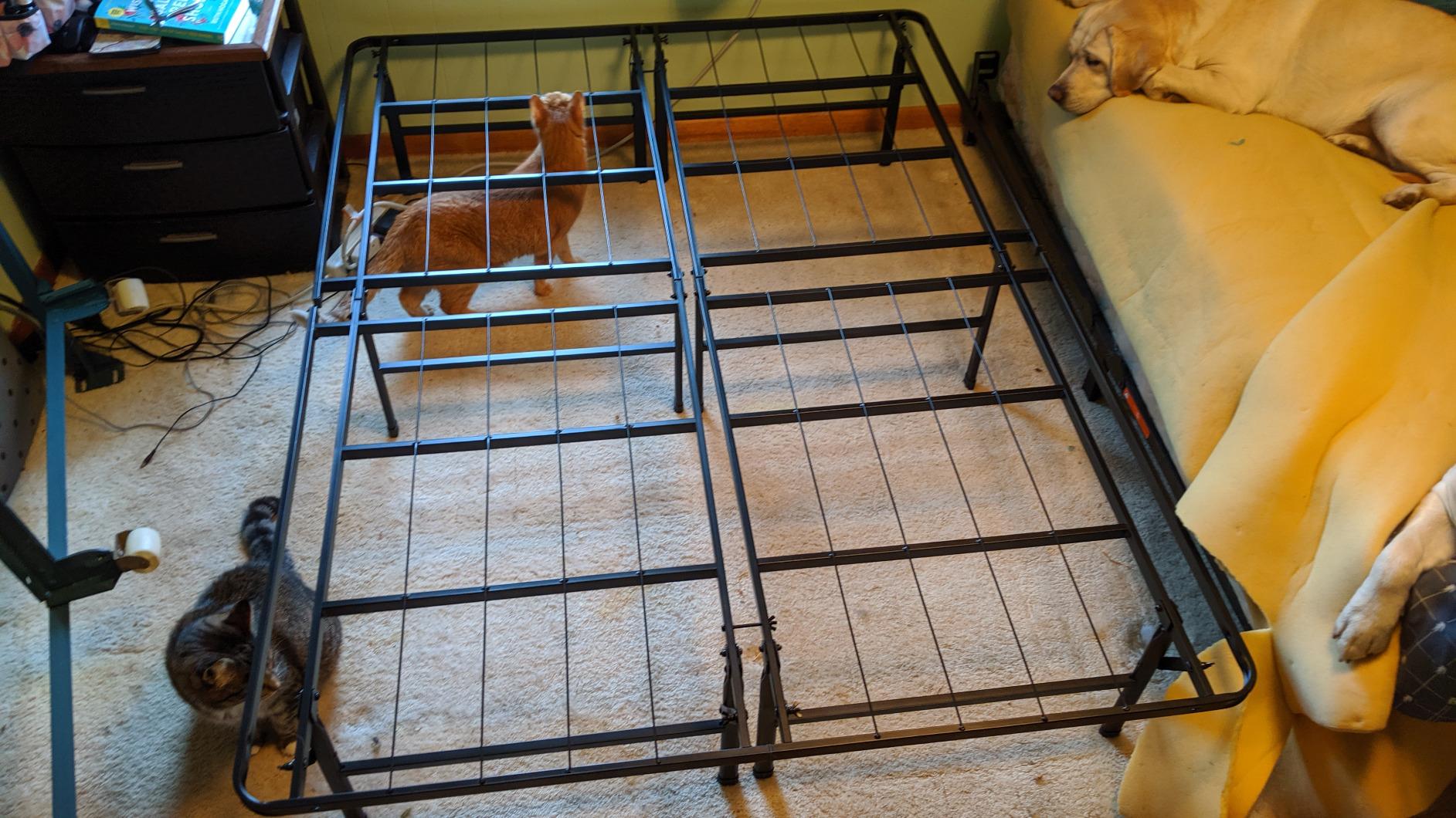 Zinus SmartBase Heavy Duty Mattress Foundation, 18 Inch Metal Platform Bed Frame, No Box Spring Needed, Sturdy Steel Frame, Underbed Storage, Full customer photo 1