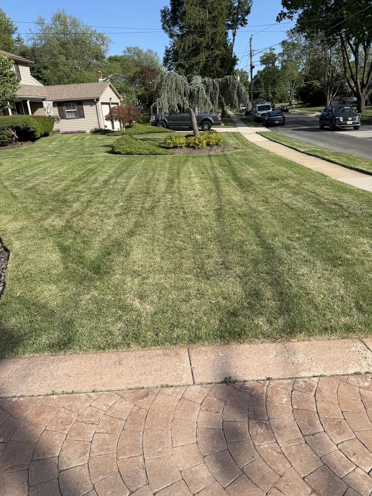 Sun Joe Electric Dethatcher & Scarifier, Corded, with 8-Gal Bag, 12.6-Inch Cutting Width, 12-Amp Motor - Heavy-Duty Yard Trimmer for Lawn Maintenance, AJ801E customer photo 1