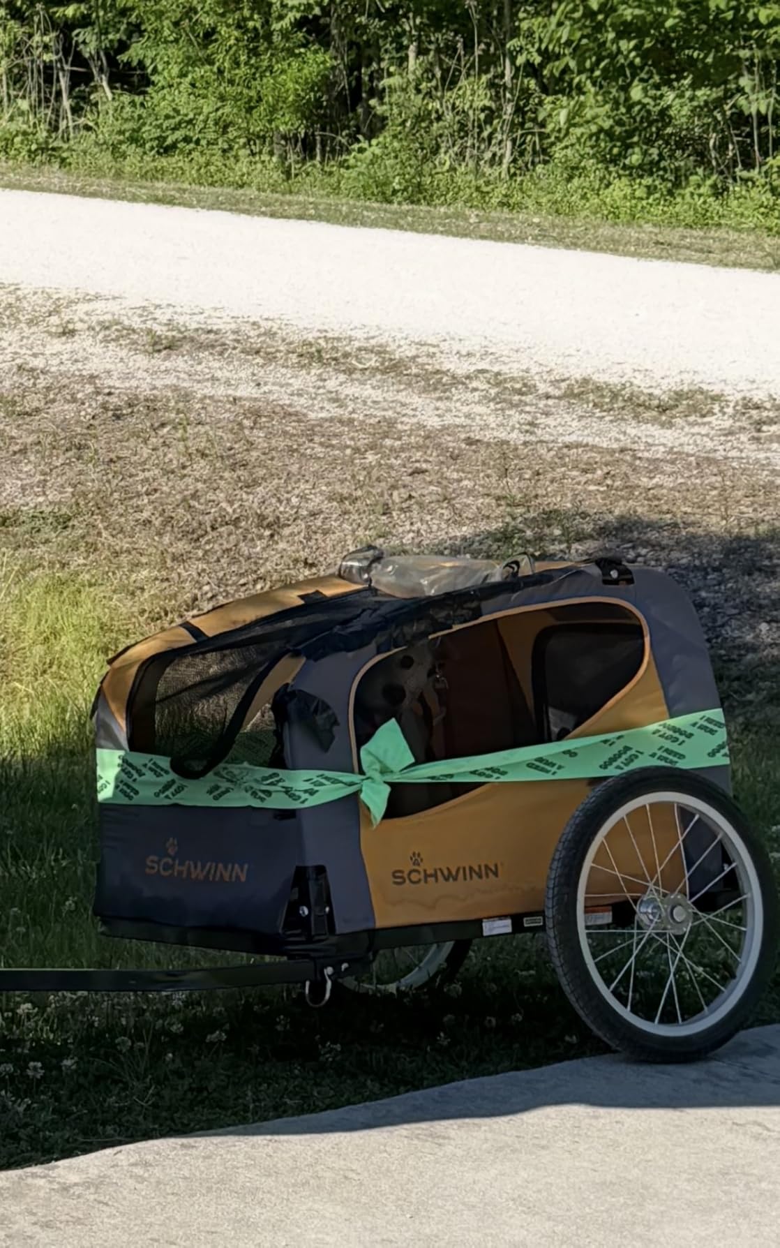 Schwinn 13-SC315 Rascal Bike Pet Trailer, For Small and Large Dogs, Lightweight, Tow with Bicycle, Up to 50 lbs customer photo 2
