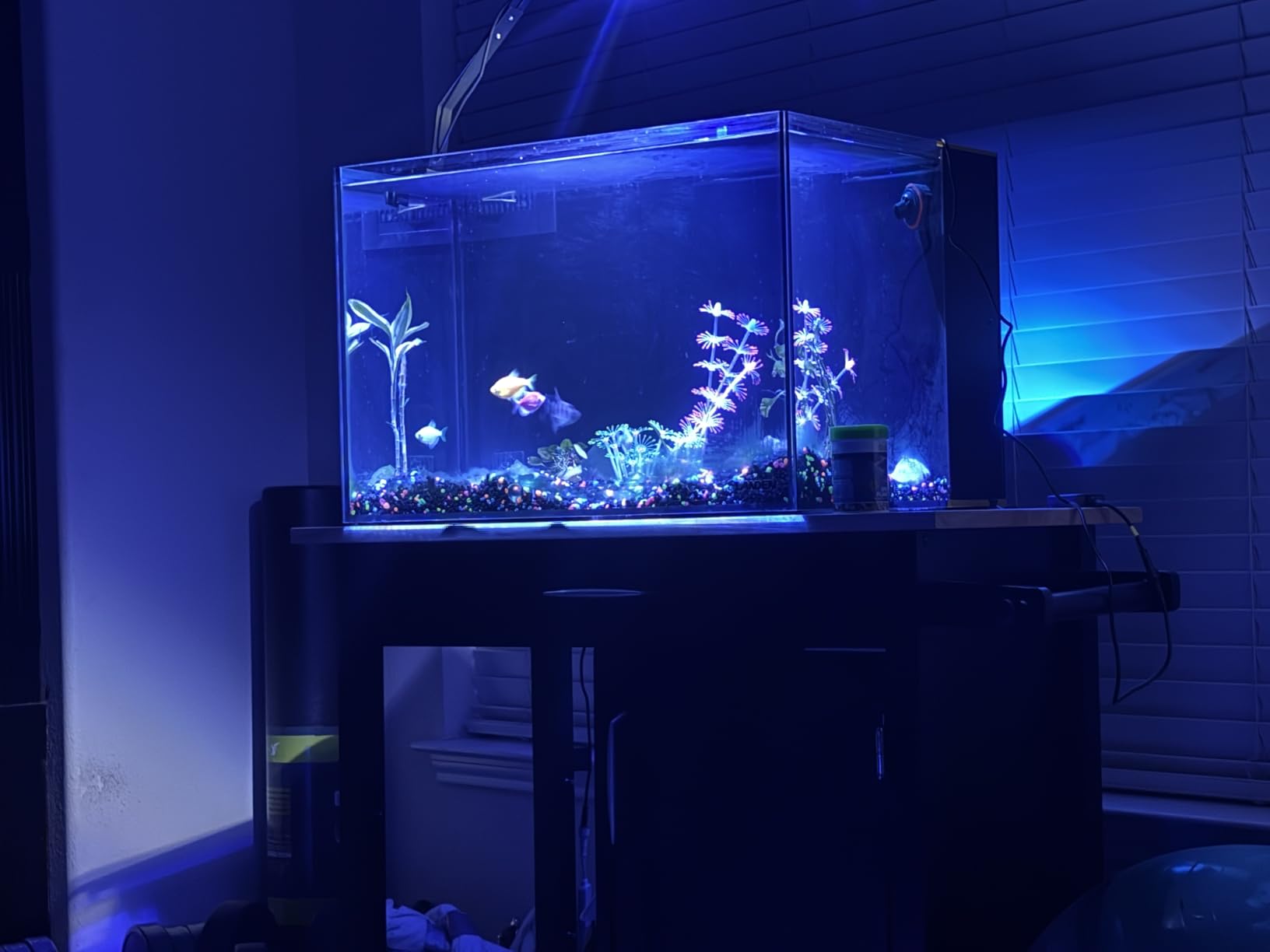 Landen 45P 15 Gallon Ultra Clear All Glass Rimless Low Iron Aquarium Tank with Rear Filtration Chamber(Return Pump Included)for Salt and Fresh Water.17.7''Wx17.7''Dx15.8''H in(45x45x40cm)6mm Thickness customer photo 2