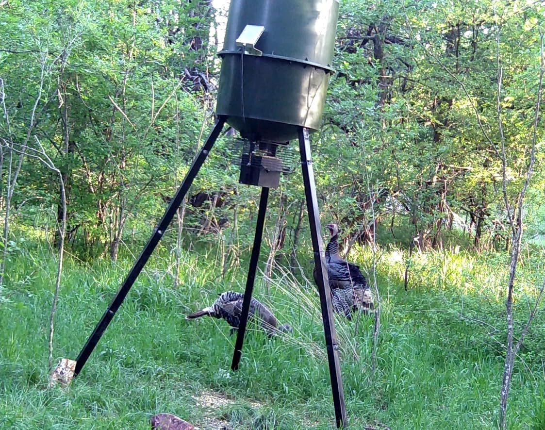 WILDGAME INNOVATIONS Quick-Set Pro 270lb Game Feeder with Digital Timer - Durable Varmint-Proof Tripod Corn/Pellet Deer Hunting Feeder with 1-6 Available Feed Times & 50-feet Radius customer photo 2