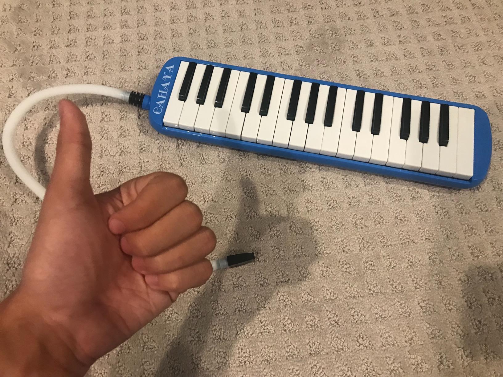CAHAYA Melodica 2 Double Mouthpieces Tube Sets Melodicas Piano Style 32 Key Portable with Carrying Bag, Blue, CY0050-2 customer photo 1