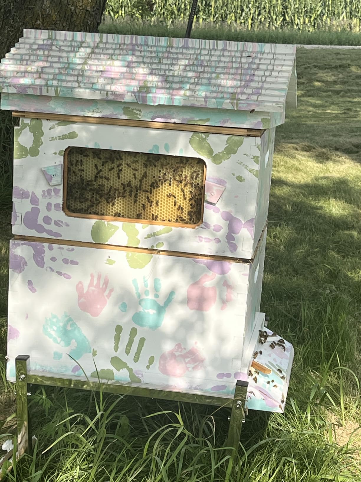 Golden Palace Bee Hive, Beehive with 7pcs Auto Super Frames, Bee House with 1pcs Super Boxes, 1pcs Brood Boxes(No Brood Frames), Bee Hives Starter Beekeeping Kits customer photo 2