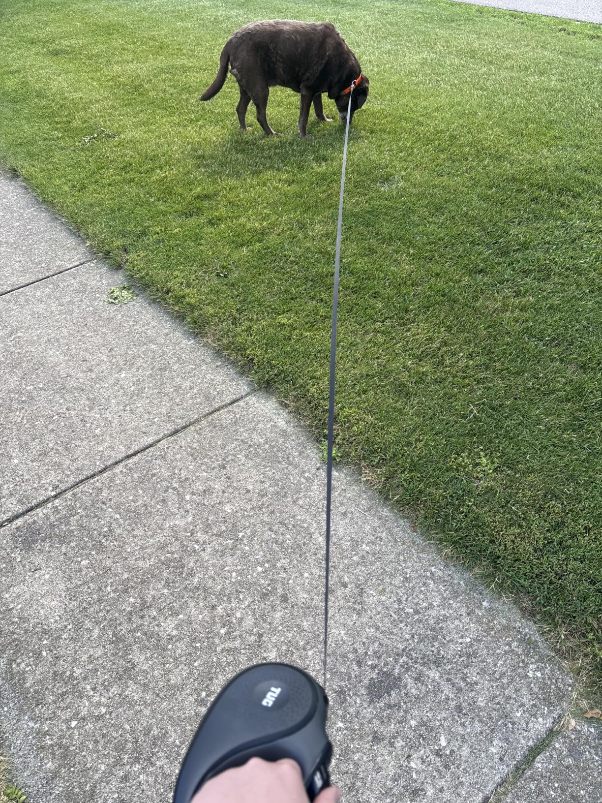 TUG 360 Tangle-Free Retractable Dog Leash | 16 ft Strong Nylon Tape | One-Handed Brake, Pause, Lock (Large, White) customer photo 1