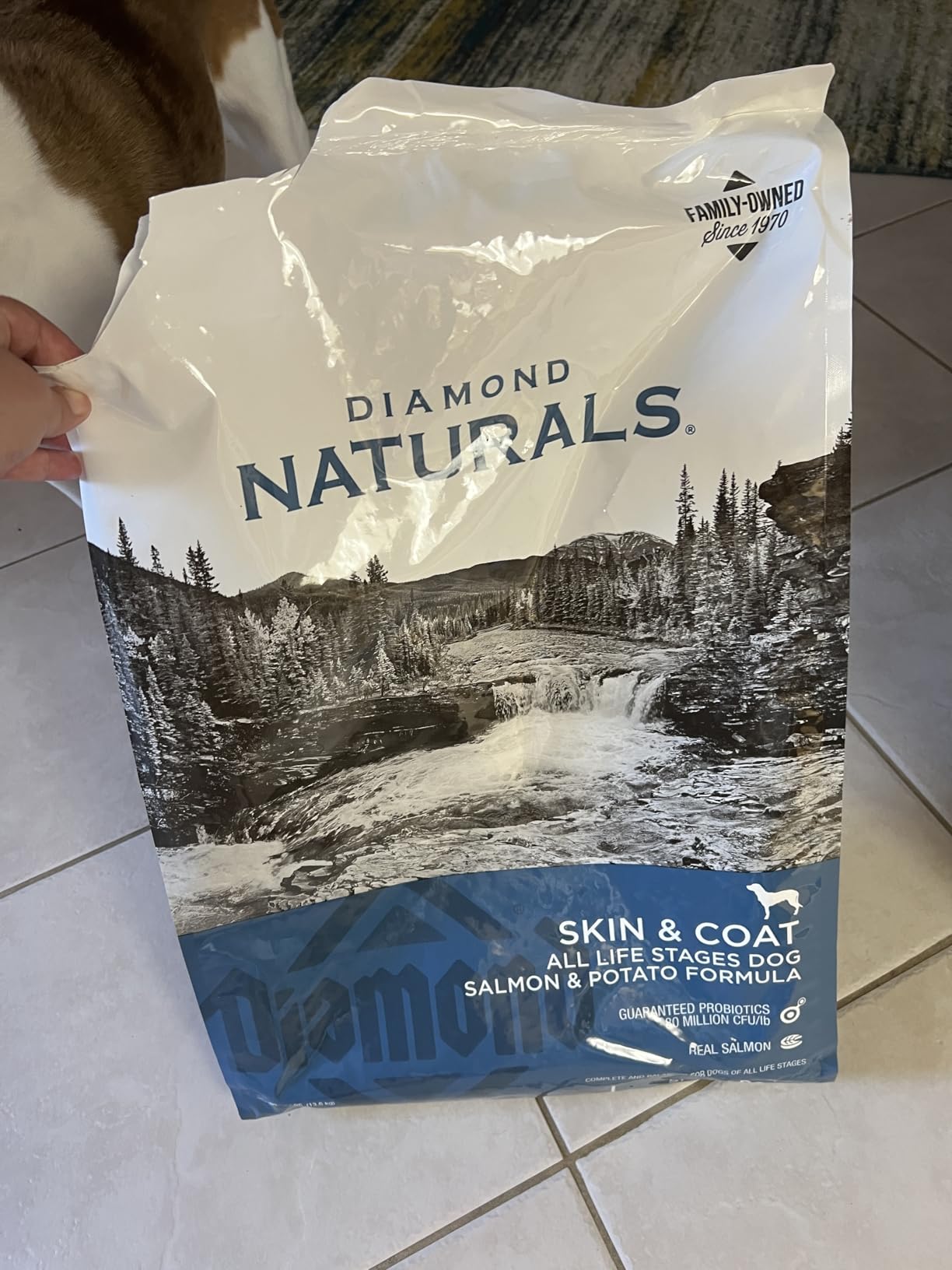 Diamond Naturals Skin & Coat Real Salmon and Potato Recipe Dry Dog Food, 30lb customer photo 2