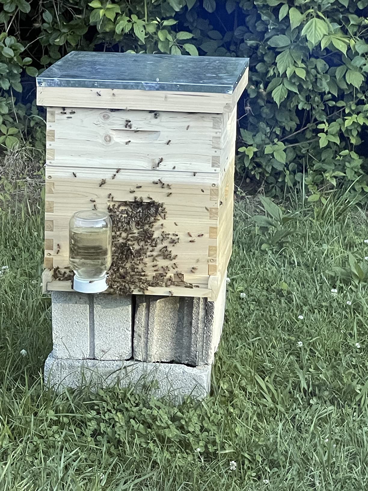 CREWORKS Bee Hive Boxes 10 Frame Langstroth Beehive, Bee Keeping Starter Kit Includes 1 Super Bee Box & 1 Bee Brood Box with Beehive Frames and Foundation, 2 Layers Complete Bee Hive Kit customer photo 1