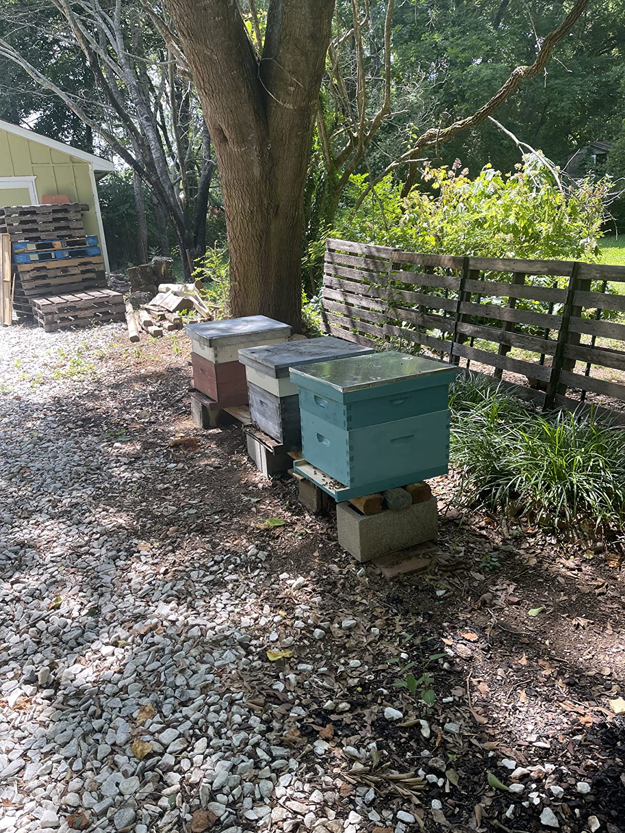 CREWORKS Bee Hive Boxes 10 Frame Langstroth Beehive, Bee Keeping Starter Kit Includes 1 Super Bee Box & 1 Bee Brood Box with Beehive Frames and Foundation, 2 Layers Complete Bee Hive Kit customer photo 2