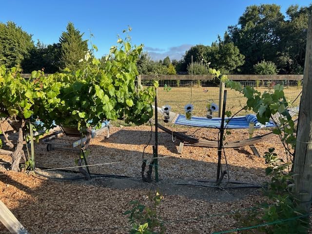 Sunnydaze Quilted Double Hammock for Outside with Spreader Bars and Pillow - 450 lb Capacity, 74x55 Inch Bed, UV Resistant, Quick Dry - Chains Included, Stand Sold Separately - Mountainside customer photo 2
