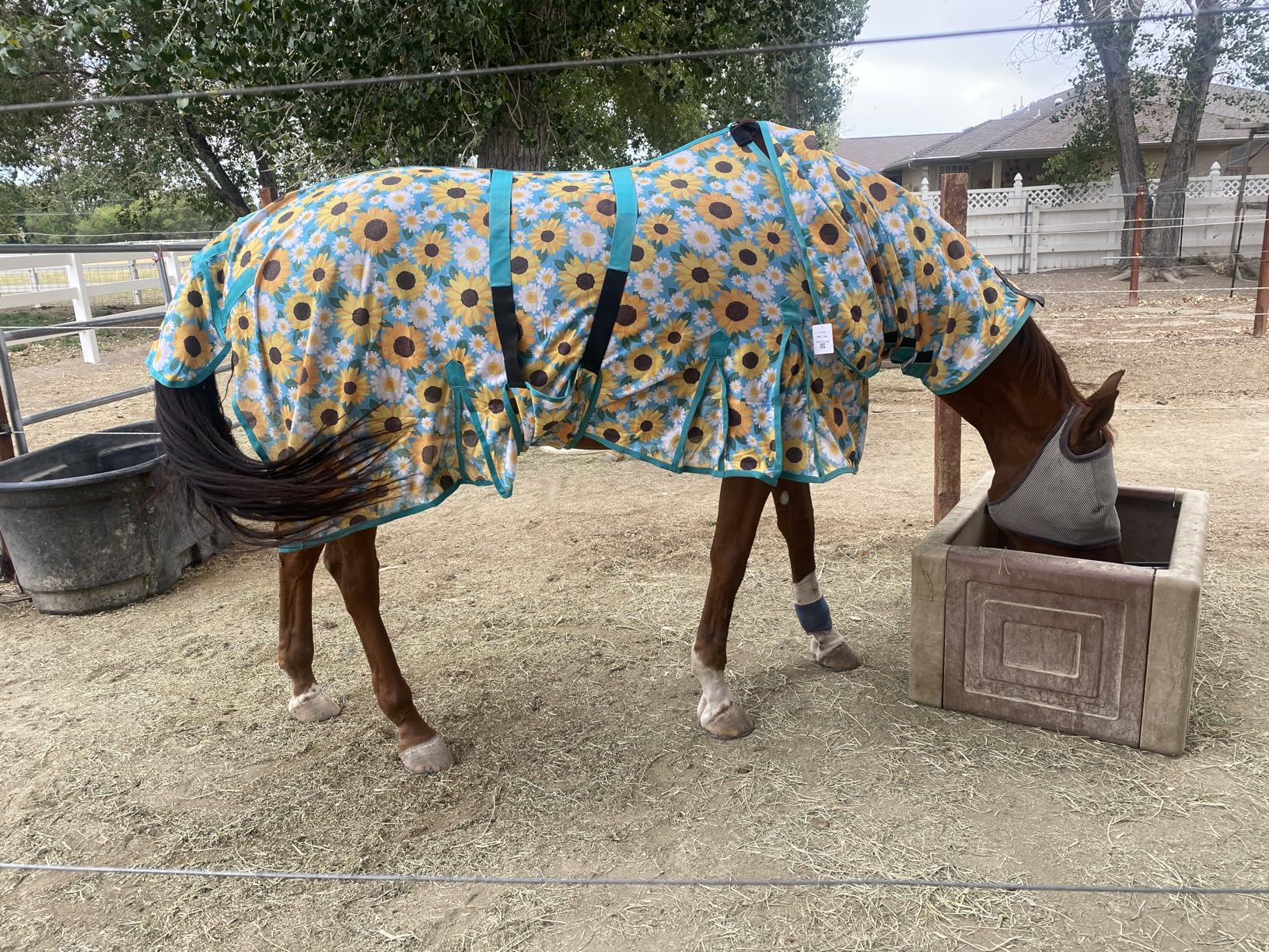 HILASON Horse Fly Sheet UV Protect Breathable Mesh Bug Mosquito Spring | Summer Horse Rug | Fly Rug customer photo 2