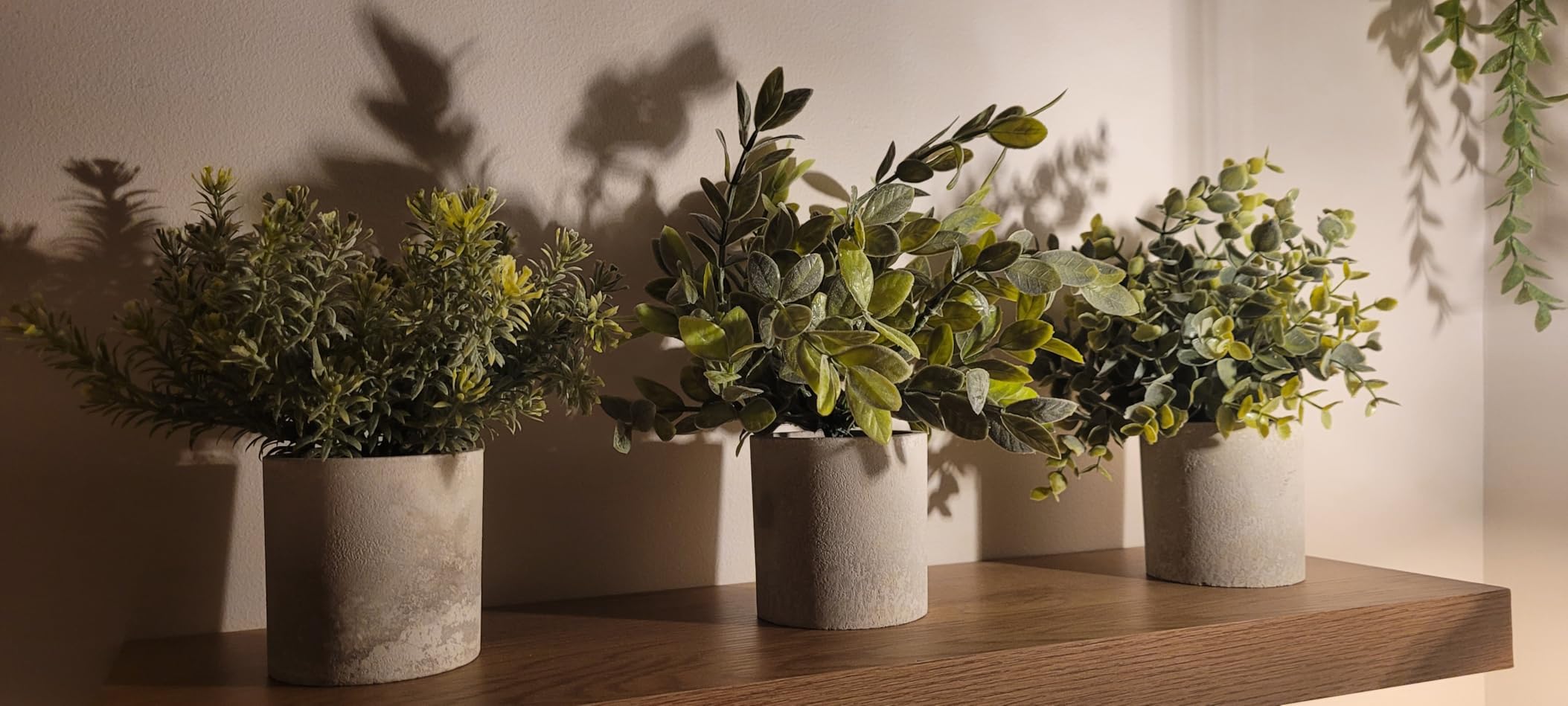 Der Rose 3 Pack Mini Potted Fake Plants Artificial Plastic Eucalyptus Plants Topiaries for Home Office Desk Farmhouse Shelf Room Bathroom Decor customer photo 1