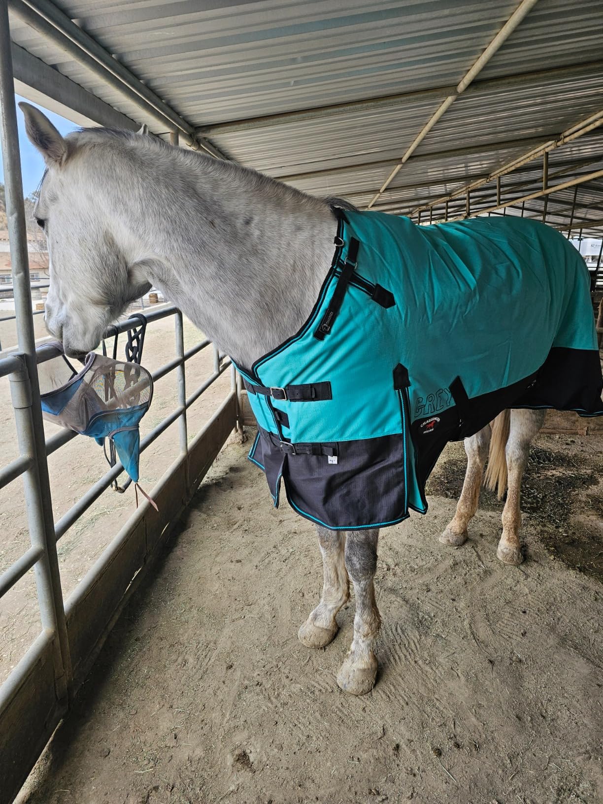 Challenger 1200D Turnout Waterproof Turnout Horse Winter Blanket Heavy 511 customer photo 1
