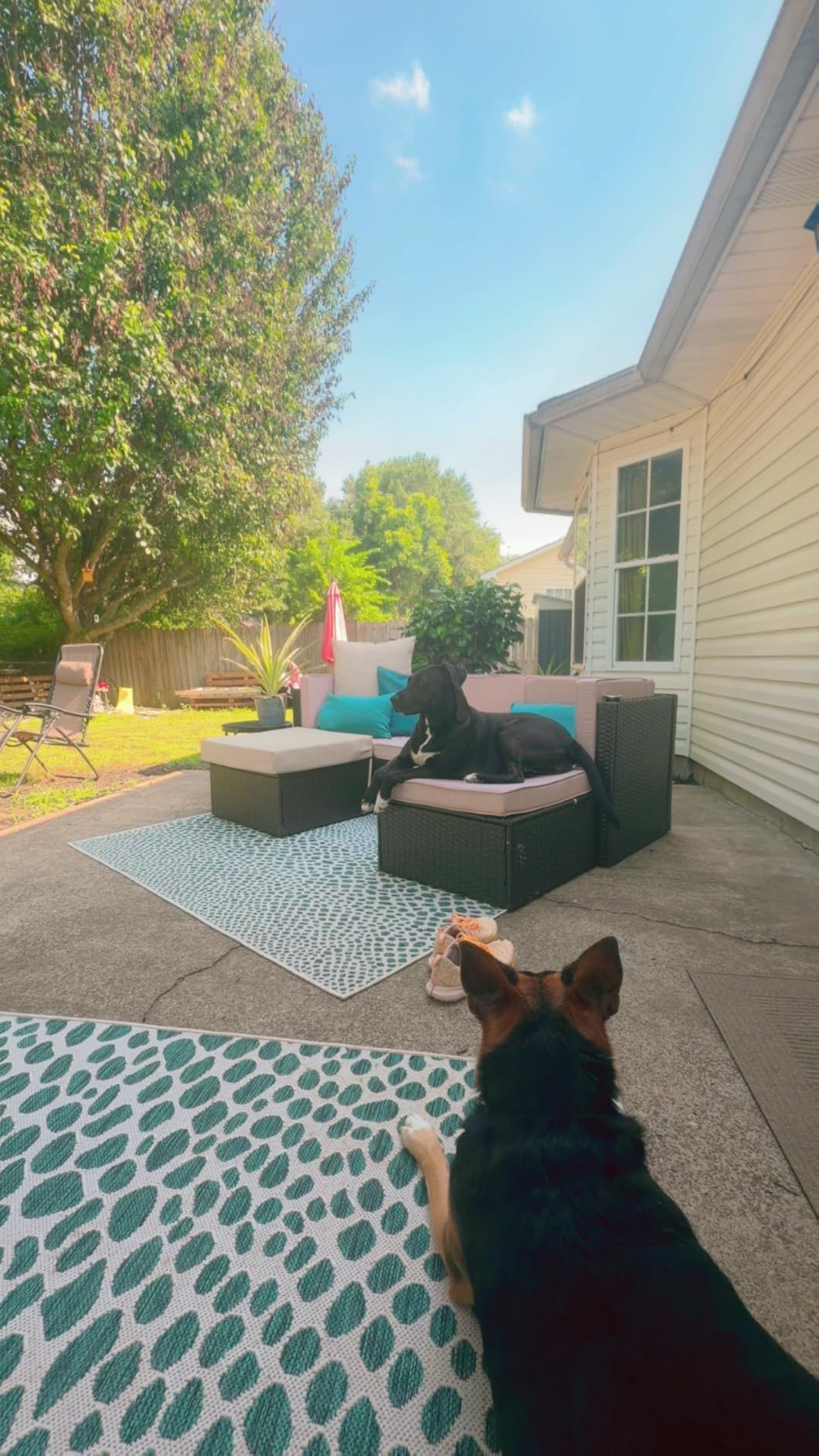 Vongrasig 5 Piece Patio Furniture Sets, Outdoor Patio Set Sectional Sofa, All-Weather PE Rattan Outdoor Couch with Ottoman, Glass Table for Garden, Backyard, Porch, Beige customer photo 1