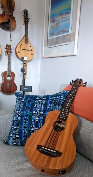 Nomad Acoustic-Electric U•BASS® customer photo 1