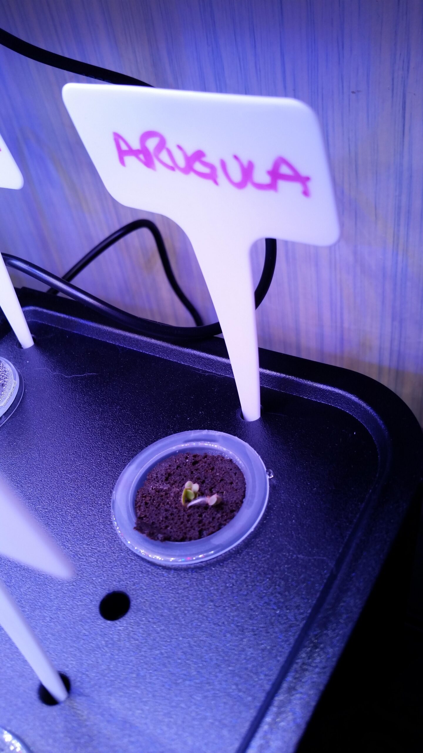 iDOO Hydroponics Growing System Kit 12Pods, Indoor Herb Garden, with LED Grow Light, Built-in Fan, Auto-Timer, Adjustable Height Up to 11.3 inches customer photo 2