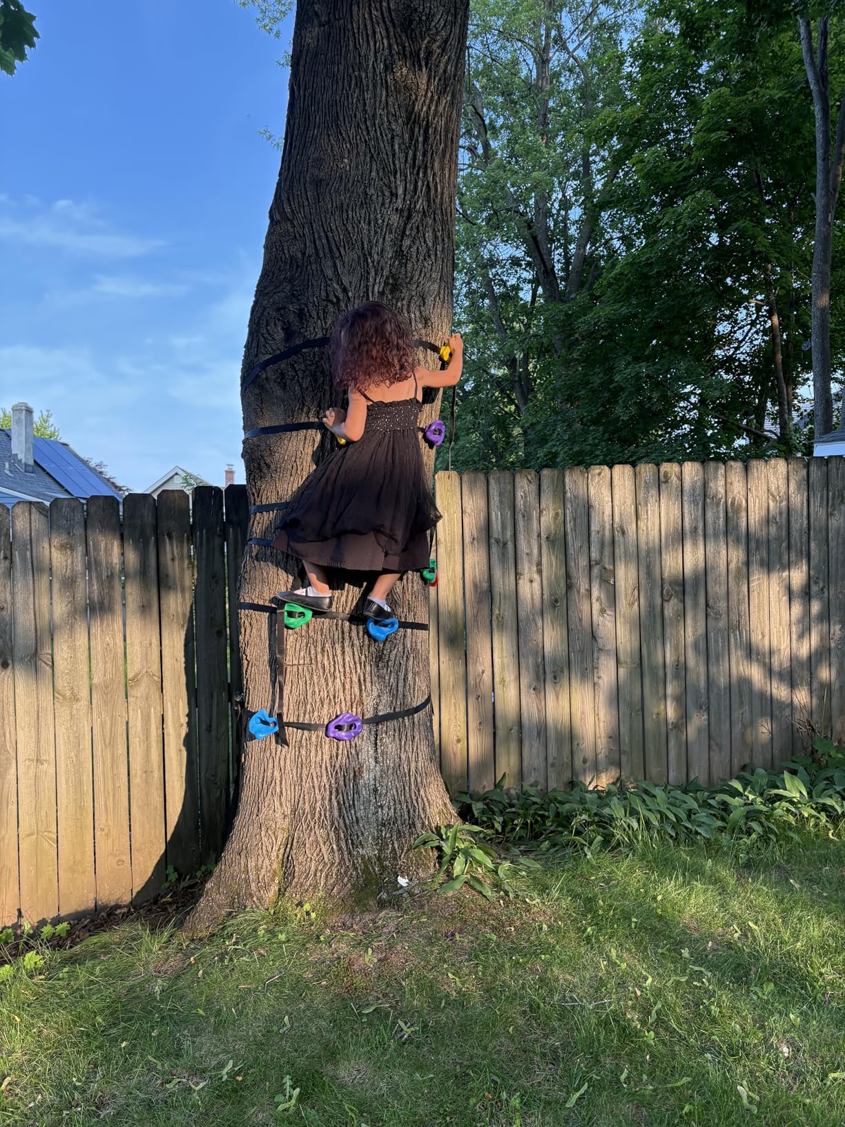 TOPNEW 20 Ninja Tree Climbing Holds for Kids Climber, Adult Climbing Rocks with 6 Ratchet Straps for Outdoor Ninja Warrior Obstacle Course Training customer photo 1