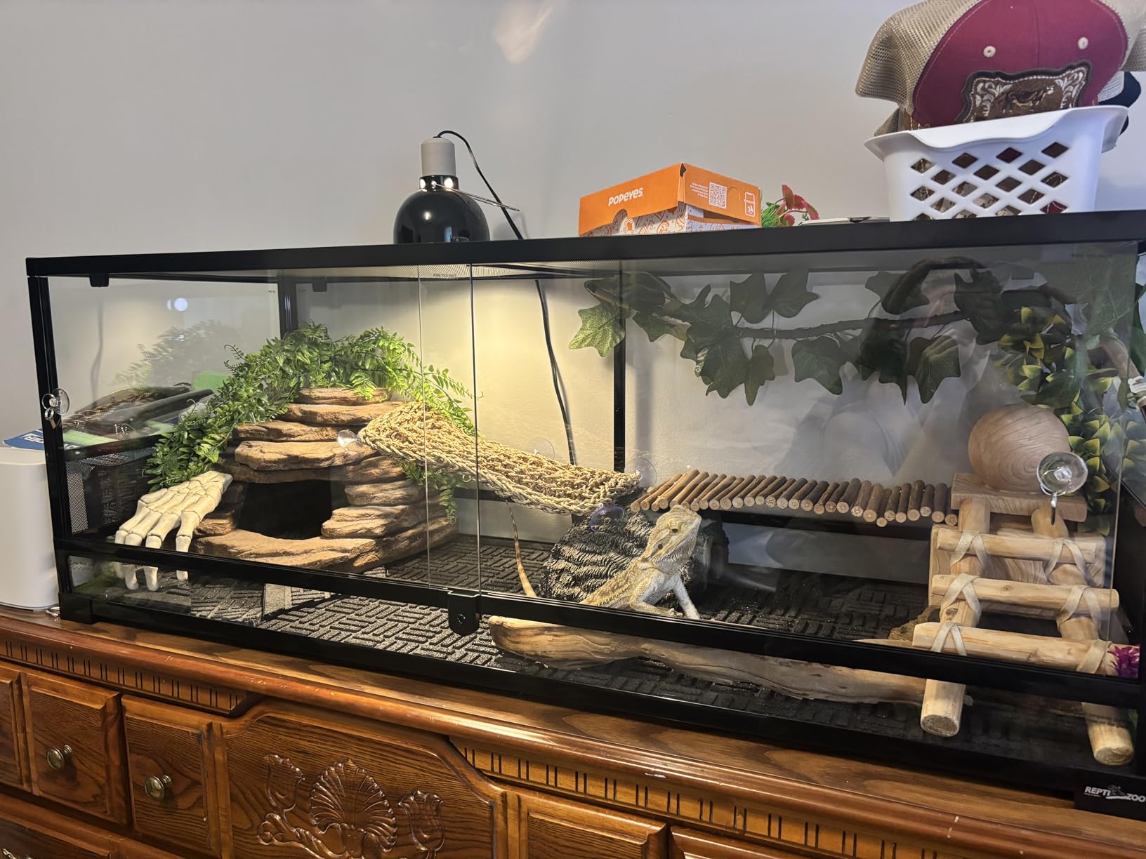 REPTI ZOO 50 Gallon Reptile Glass Tank Terrarium 2 in 1 Side Meshes and Side Glasses Double Hinge Door with Screen Ventilation Tempered Glass 36