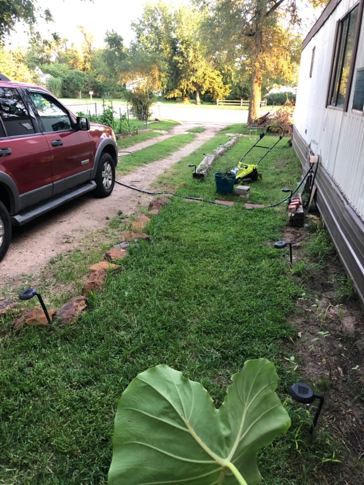 Sun Joe Cordless Electric Push Lawn Mower with 11.9-Gal Bag, 15-Inch Cutting Width, 360W Motor - Heavy-Duty Yard Trimmer for Gardening Care and Maintenance, IONMAX 24V-CRLM15 customer photo 1