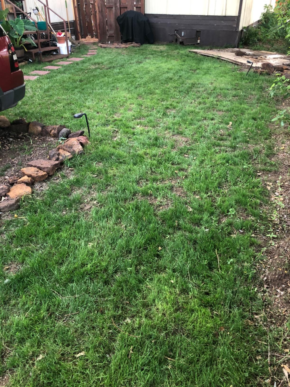 Sun Joe Cordless Electric Push Lawn Mower with 11.9-Gal Bag, 15-Inch Cutting Width, 360W Motor - Heavy-Duty Yard Trimmer for Gardening Care and Maintenance, IONMAX 24V-CRLM15 customer photo 2