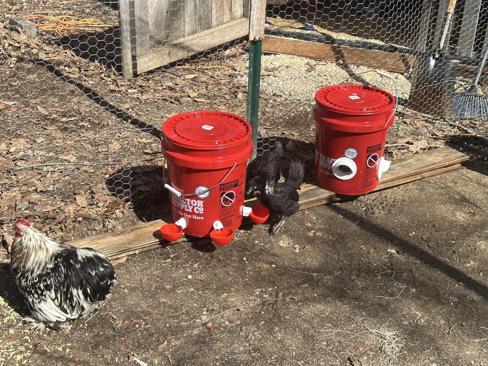 The Original Poultry Pro DIY Chicken Feeder Kit - 3 Ports, Waterproof Seal Bushings & Hole Saw, Gravity Fed Chicken Feeder, Poultry Feed, Use for Buckets, Barrels, Bins & Troughs (Bucket Not Included) customer photo 1