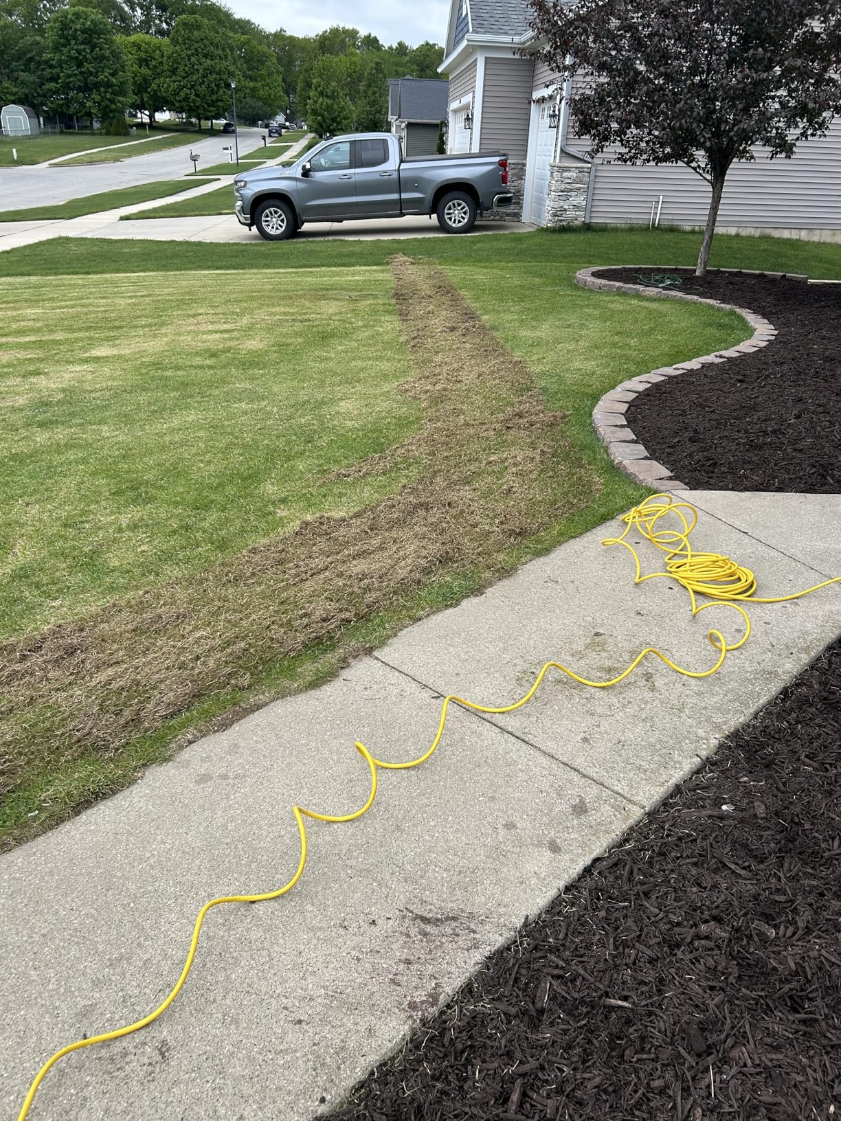 Sun Joe 15-Inch Electric Powered Lawn Dethatcher with Scarifier Blade Reel and Collection Bag - 13-Amp Corded Yard Power Rake Tool Machine for Grass Thatch Removal, AJ805E customer photo 1
