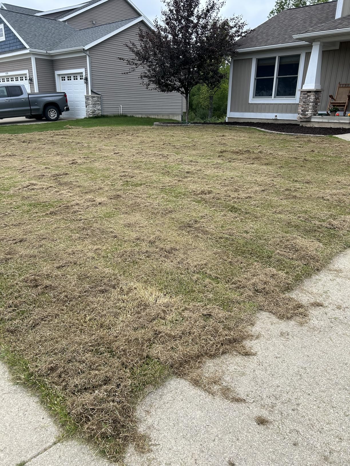 Sun Joe 15-Inch Electric Powered Lawn Dethatcher with Scarifier Blade Reel and Collection Bag - 13-Amp Corded Yard Power Rake Tool Machine for Grass Thatch Removal, AJ805E customer photo 2