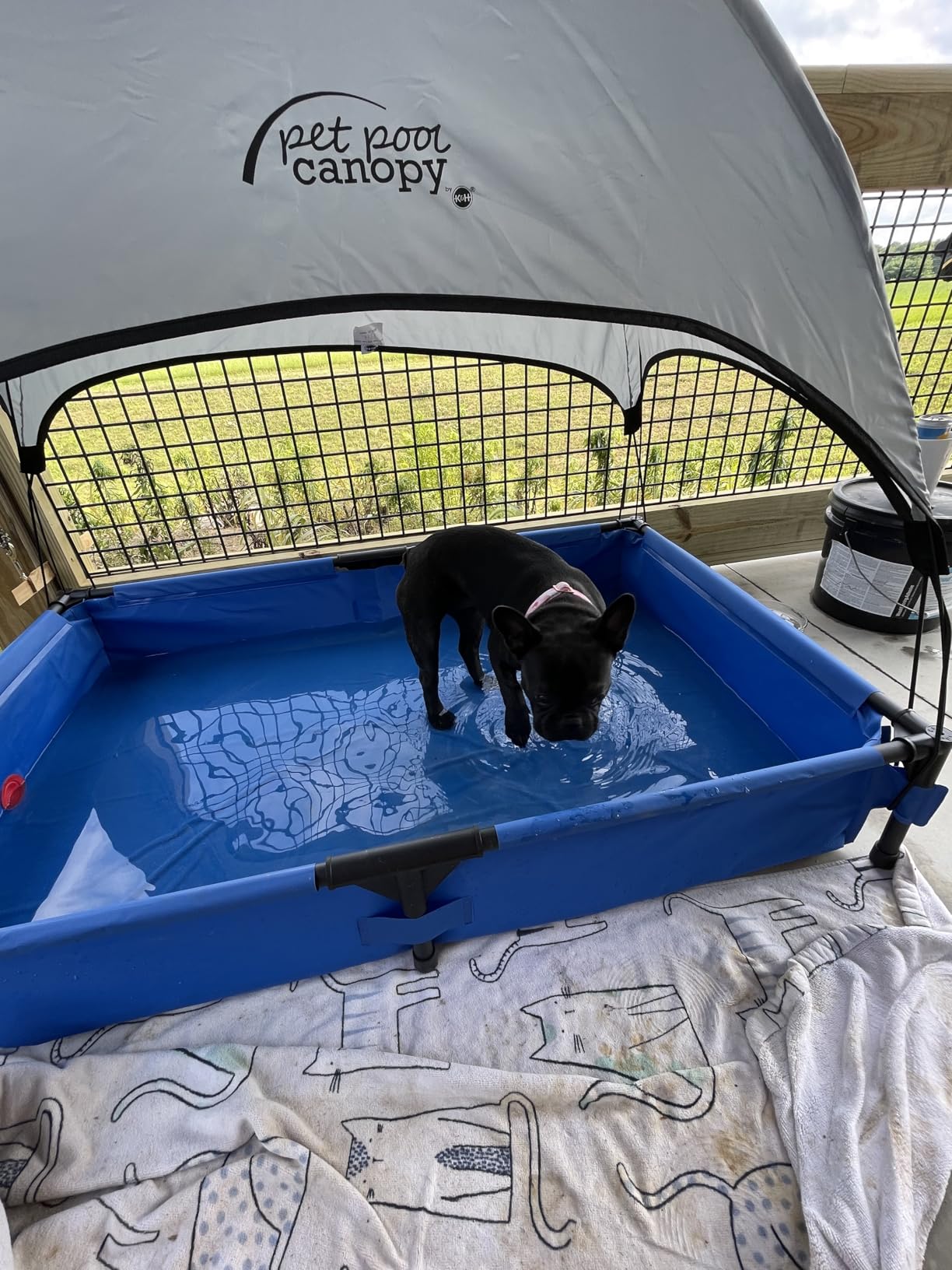 K&H Pet Products Portable Dog Pool & Pet Bath for Dogs and Puppies, Swimming Pool for Large Pets, Heavy Duty Liner with Metal Frame, Easy Drain Plug, Foldable - Extra-Large 50 X 32 X 9in Chill Blue customer photo 2