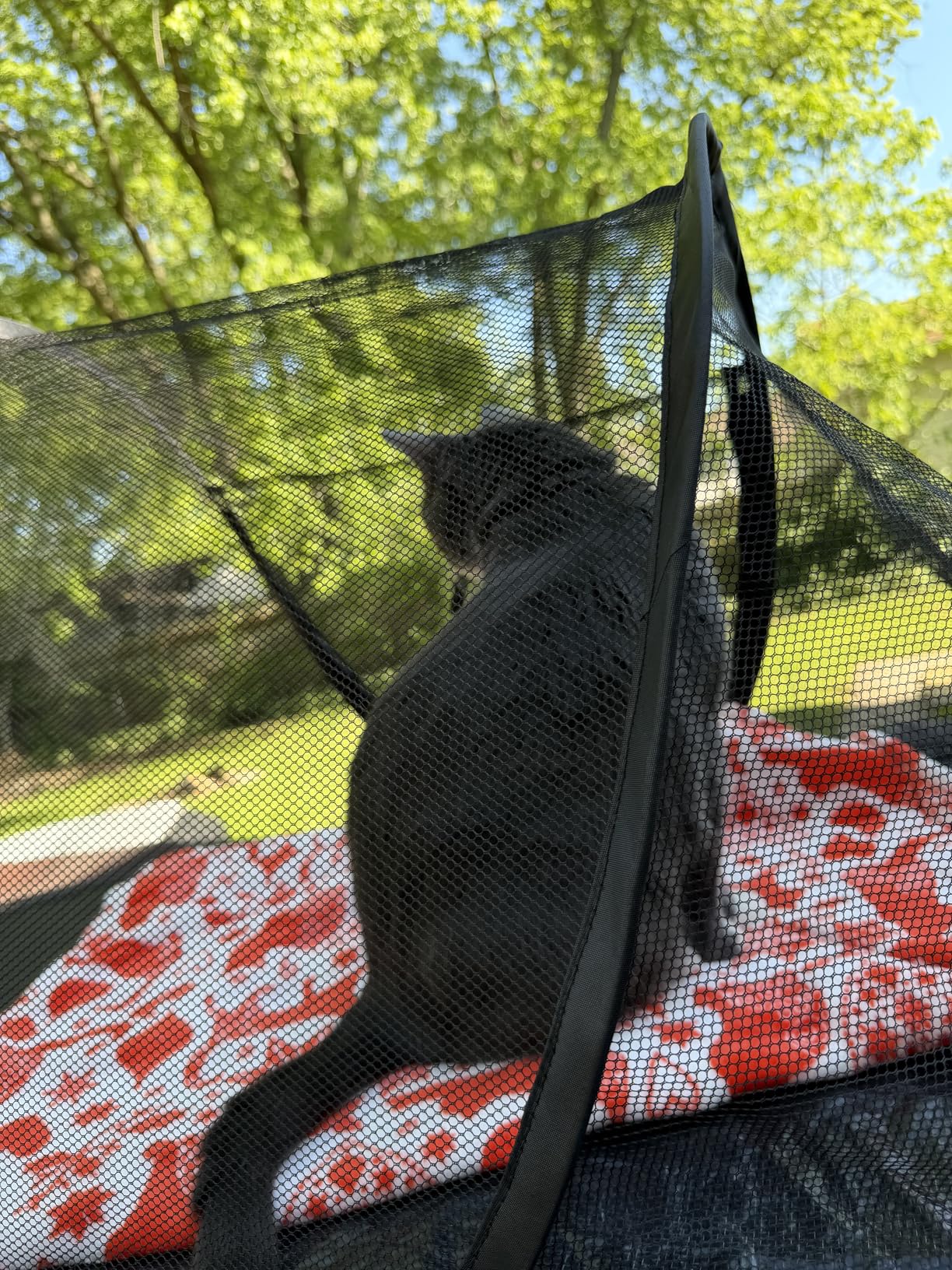 Cat Tent Outdoor, Pet Enclosure Tent Suitable for Cats and Small Animals, Indoor Playpen Portable Exercise Tent with Carry Bag（Black） customer photo 1