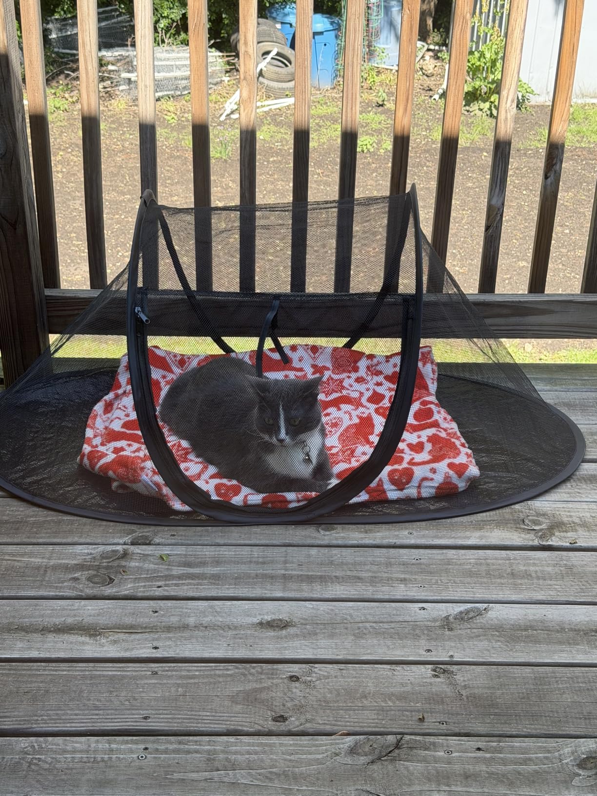 Cat Tent Outdoor, Pet Enclosure Tent Suitable for Cats and Small Animals, Indoor Playpen Portable Exercise Tent with Carry Bag（Black） customer photo 2