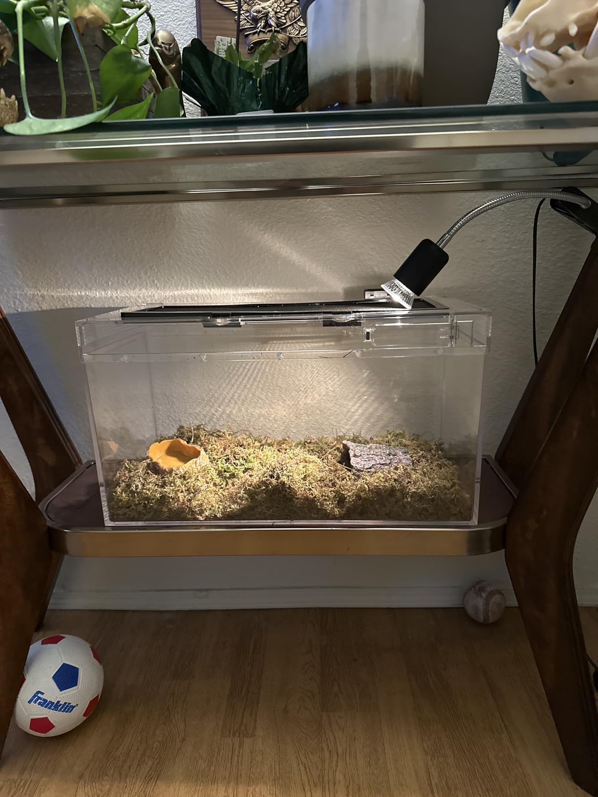 HELIME Reptile Polycarbonate Terrarium Kit 7 Piece Starter Habitat for Tarantula,Lizards,Frogs,Geckos,or Hermit Crabs,Tank with Escape-Proof Locking Lid,Light,Hygrometer,Hide,Tweezer,Bowl,Sprayer customer photo 1