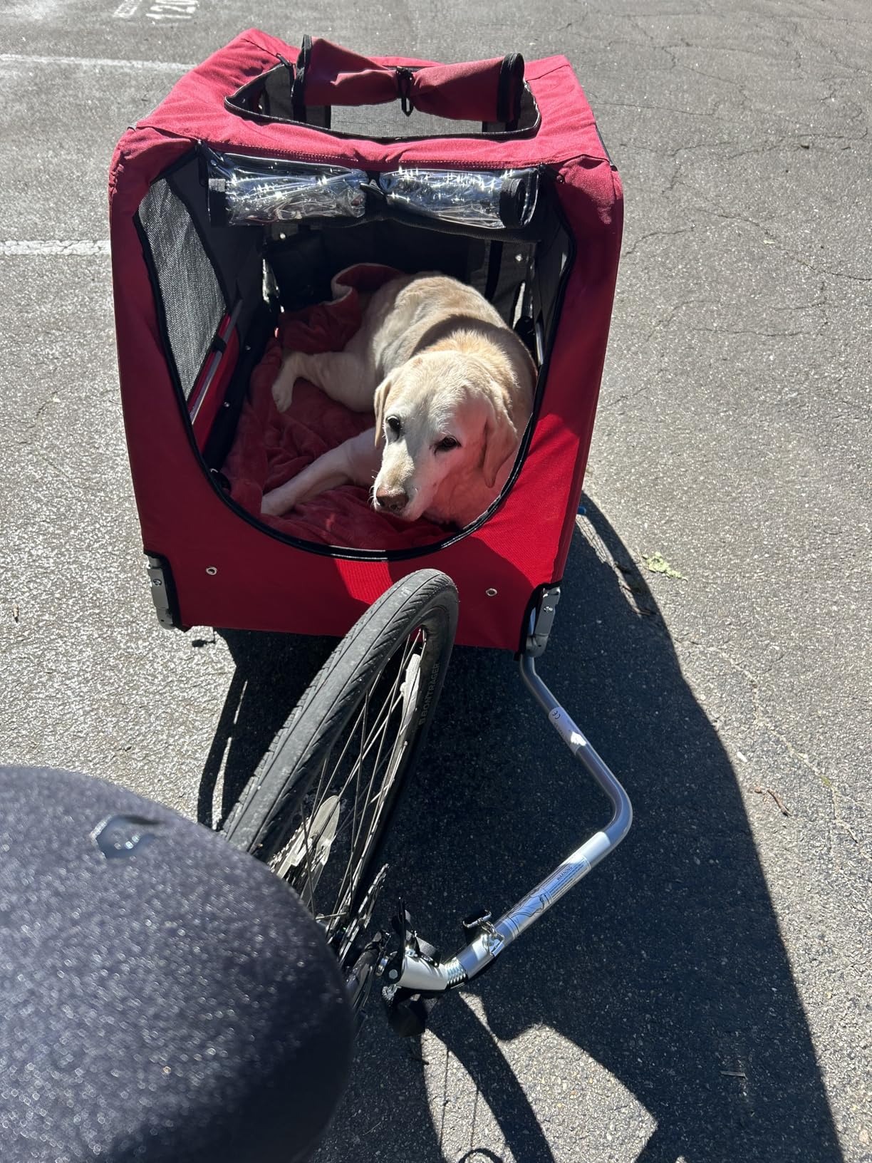 DOGGYHUT Premium Large/XL Pet Bike Trailer & Stroller for Large Sized Dog or Multiple Small Dogs, Low Center of Gravity, Parking Brakes, Easy Folding Frame, Bicycle Carrier customer photo 1