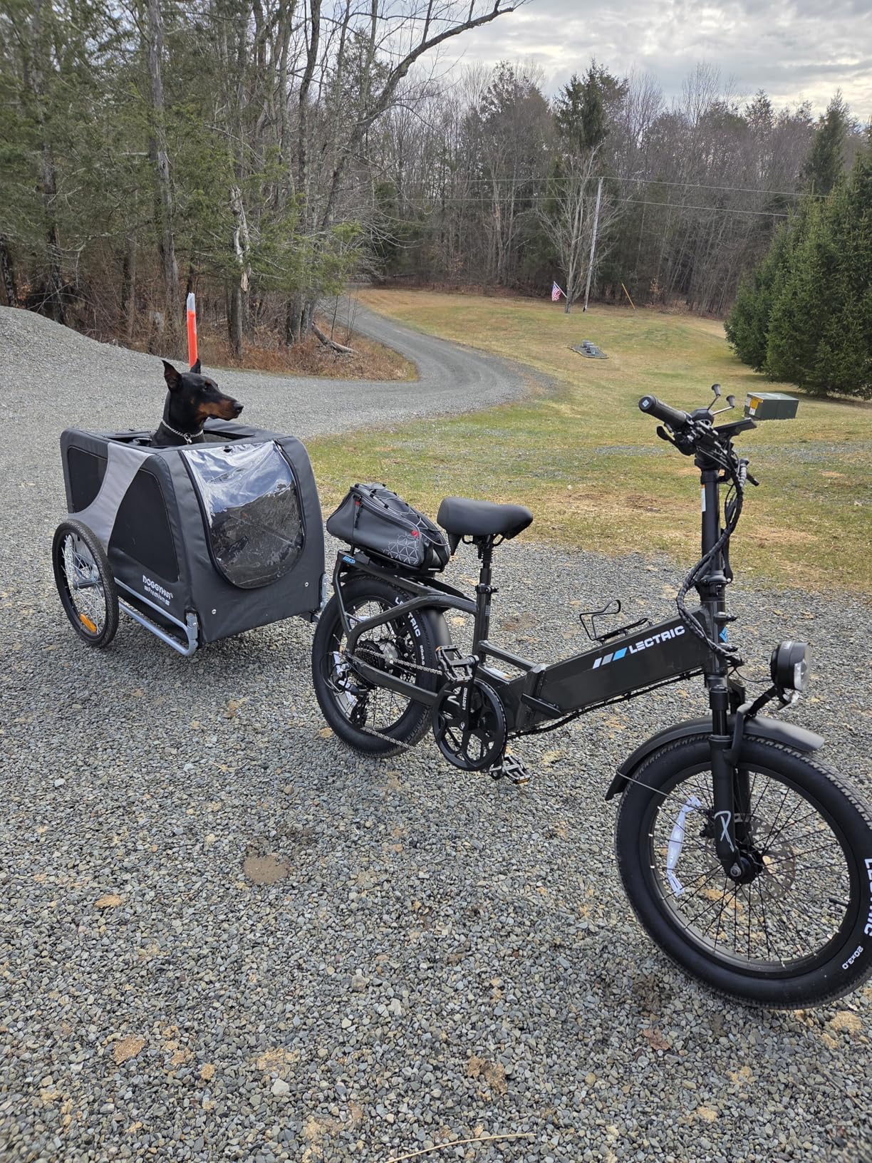 DOGGYHUT Premium XL Pet Bike Trailer for Large Dog or Multiple Small Dogs, Up to 100 lbs, Dog Bicycle Carrier, Low Center of Gravity, Easy Folding Frame Cart customer photo 1