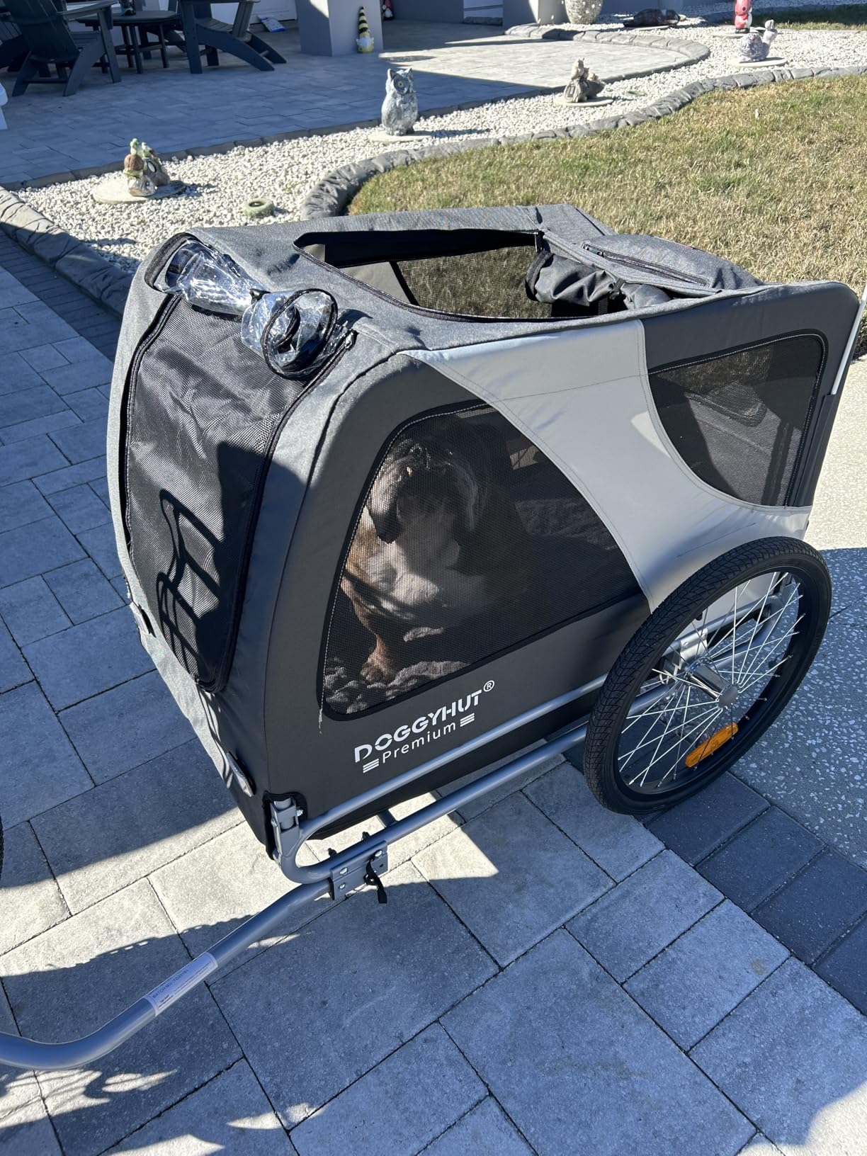DOGGYHUT Premium XL Pet Bike Trailer for Large Dog or Multiple Small Dogs, Up to 100 lbs, Dog Bicycle Carrier, Low Center of Gravity, Easy Folding Frame Cart customer photo 2