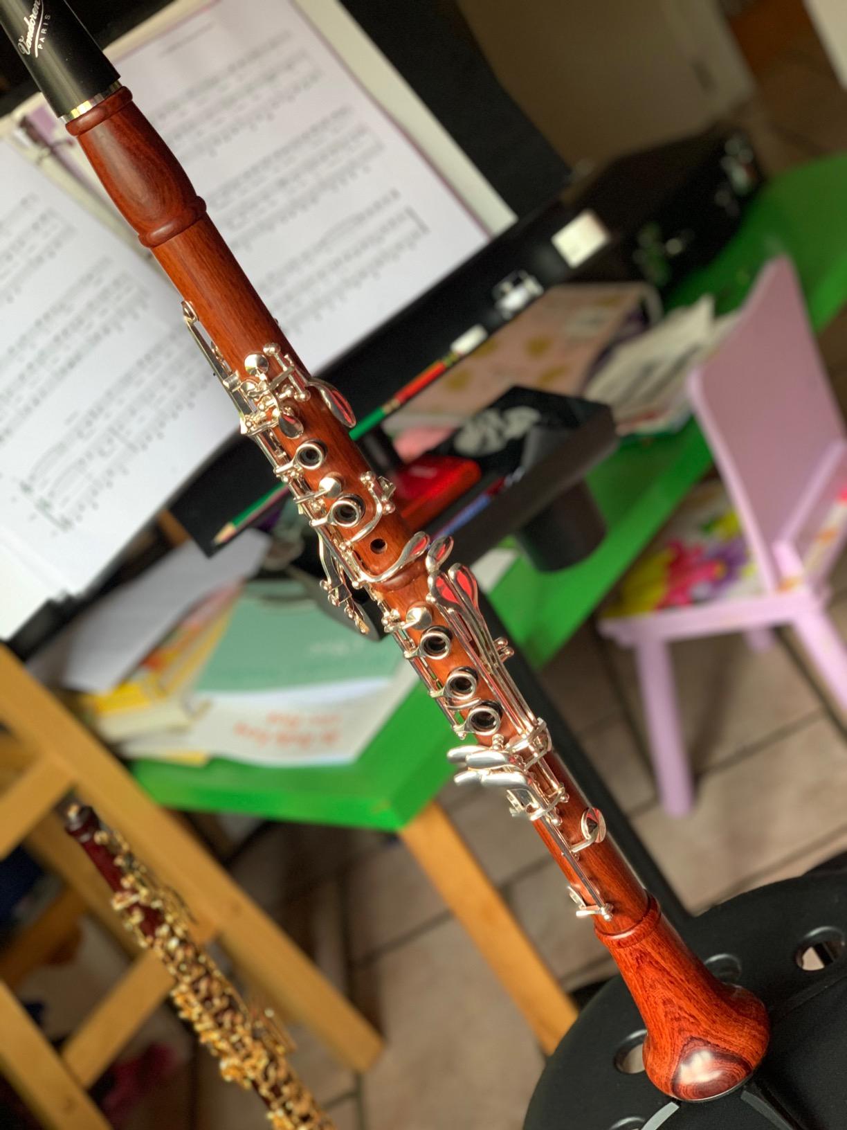 Yinfente Bb Clarinet for Beginner 17 Key Gold-plated Rosewood b Flat Clarinet with 2 Barrels, Hard Case, Cleaning Kit, Mouthpiece, Cork Grease, Gloves, Reeds, Cushion customer photo 1