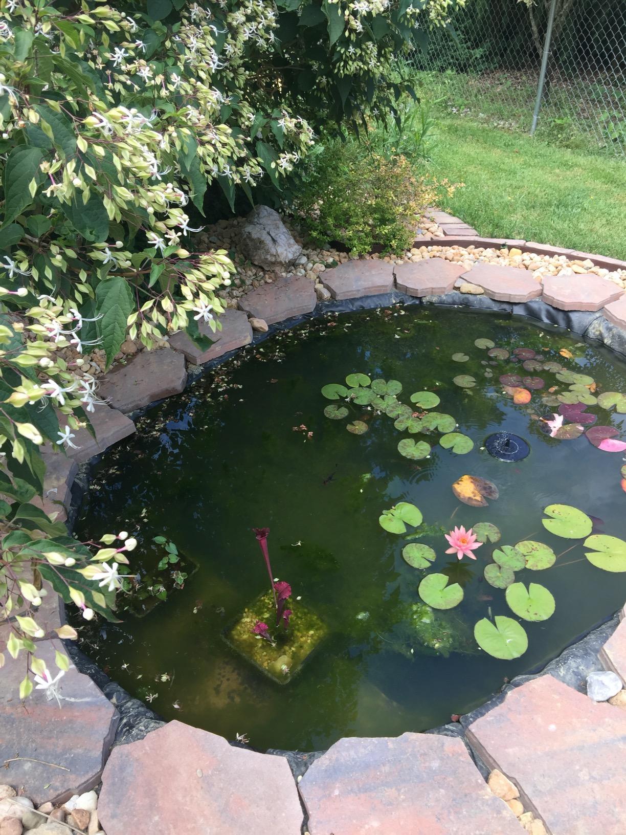 Aquascape PRO Grade 45 MIL EPDM Fish-Safe Pond and Fountain Liner, 8-ft x 10-ft, 80 sq ft, Black customer photo 1
