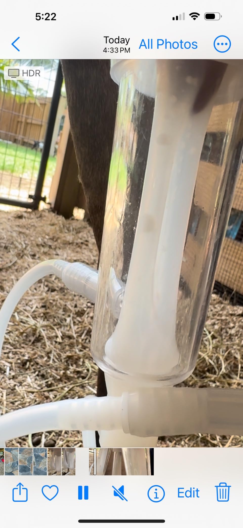 7L Goat Electric Milking Machine, Automatic Rechargeable Battery Powered Pulsation Vacuum Pump with 2 Teat Cups Stainless Steel Bucket for Goat(Battery Model) customer photo 2