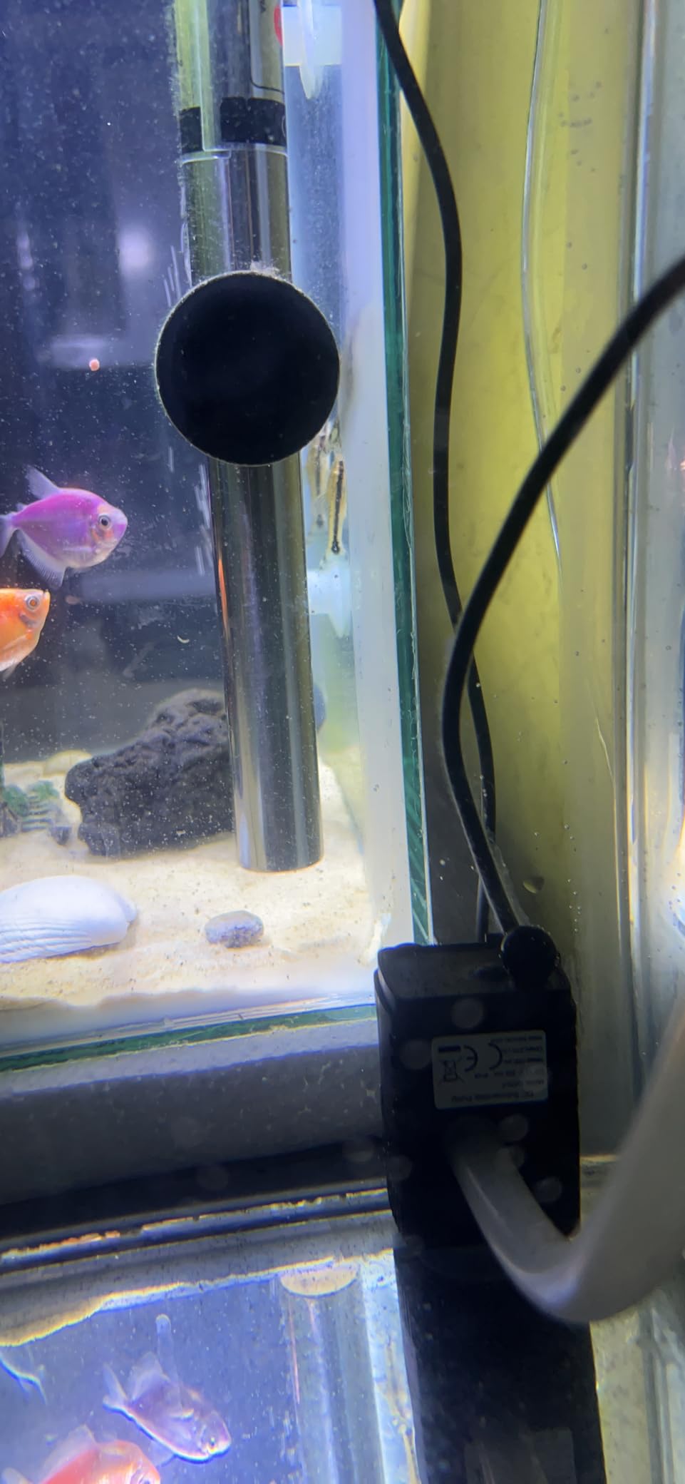 Kamoer New ATO One 2 SE Smart Auto Top Off System Silent Water Replenisher Water Level Controller for Fish Tank Water Tank Aquarium customer photo 2