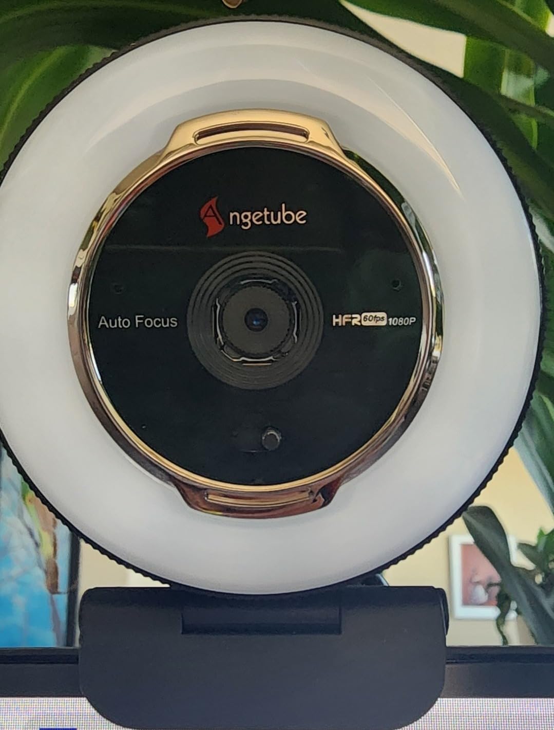 Angetube Streaming Webcam with Microphone: 1080P 60FPS USB Web Cam with Ring Light and Remote Control - HD Web Camera with 5X Digital Zoom Built in Privacy Cover, for PC|Computer|Laptop|Mac|Desktop customer photo 1