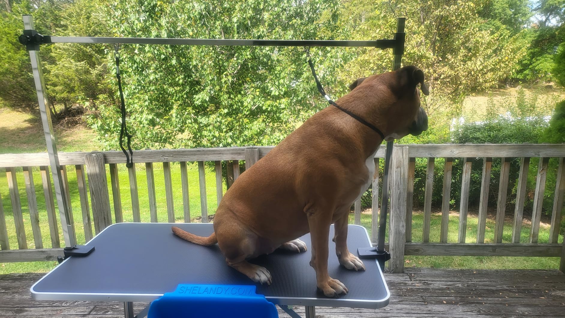 Lyromix 36'' Large Dog Grooming Table, Adjustable Cat Drying Desktop with Arms, Nooses, Mesh Tray, Foldable Pet Station at Home, Maximum Capacity Up to 330Lb, 36inch, Black customer photo 1