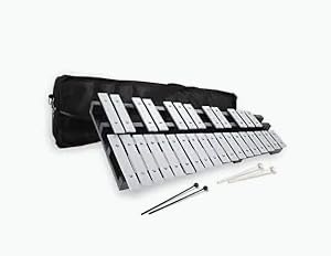 Heuyrao 30 Notes Foldable Glockenspiel Xylophone, Percussion Instrument Kit for Beginner - Includes 4 Mallets and Carrying Bag customer photo 1