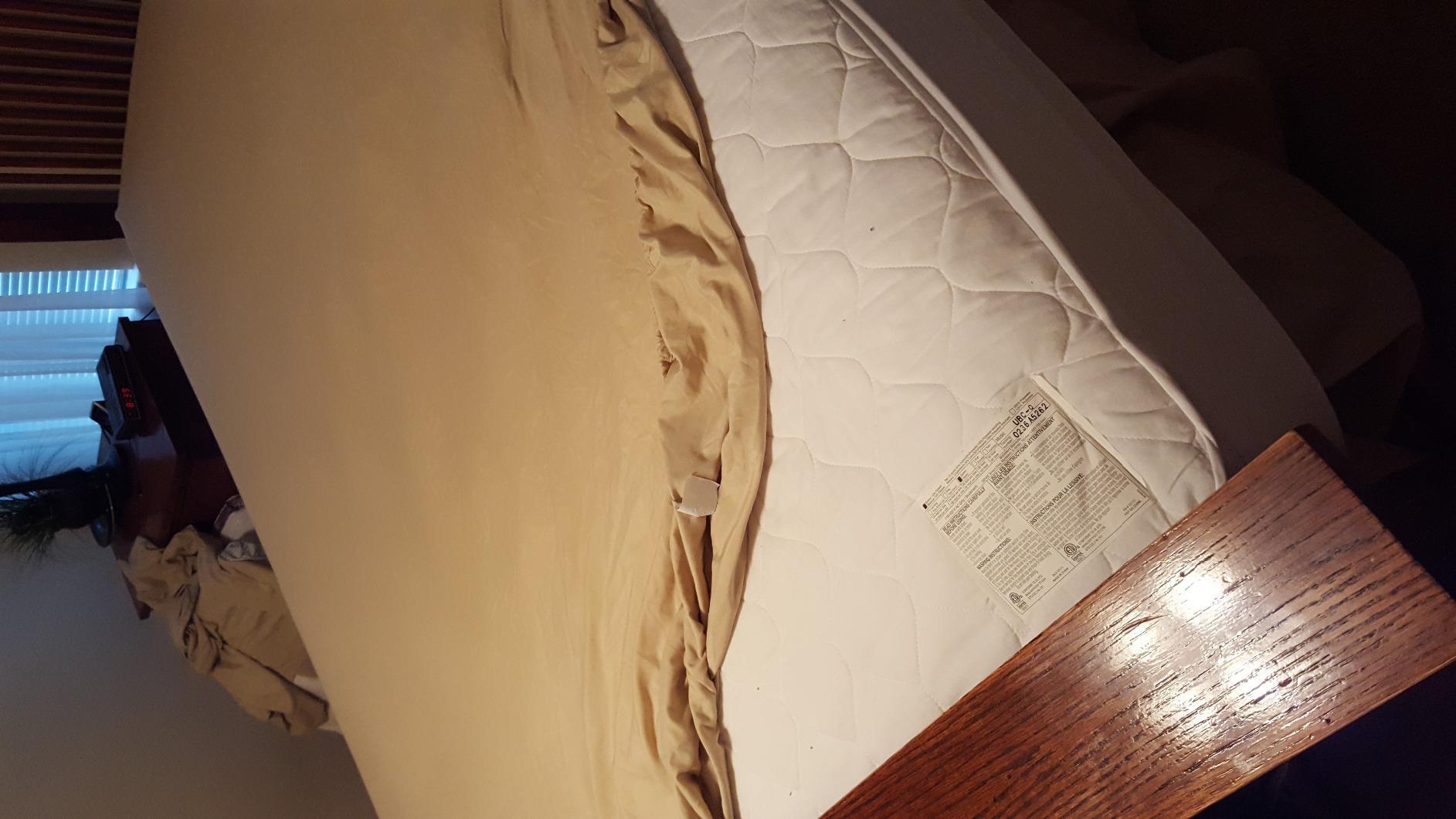 Cosy House Collection 100% Rayon Derived from Bamboo Bed Sheet Set - Cooling, Breathable, Silky Soft 4-Piece Deep Pocket Bedding Set (Queen, Cream) customer photo 1