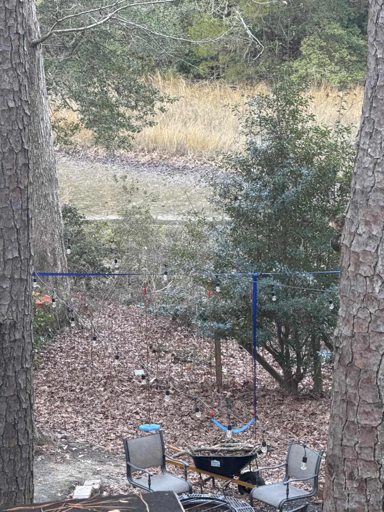 Ninja Warrior Obstacle Course for Kids - 2*56FT Slackline Kit with 8 Obstacles | Upgraded Quick-Install Buckles (No Threading Needed), 900lbs Max Load Backyard Training Gear customer photo 1