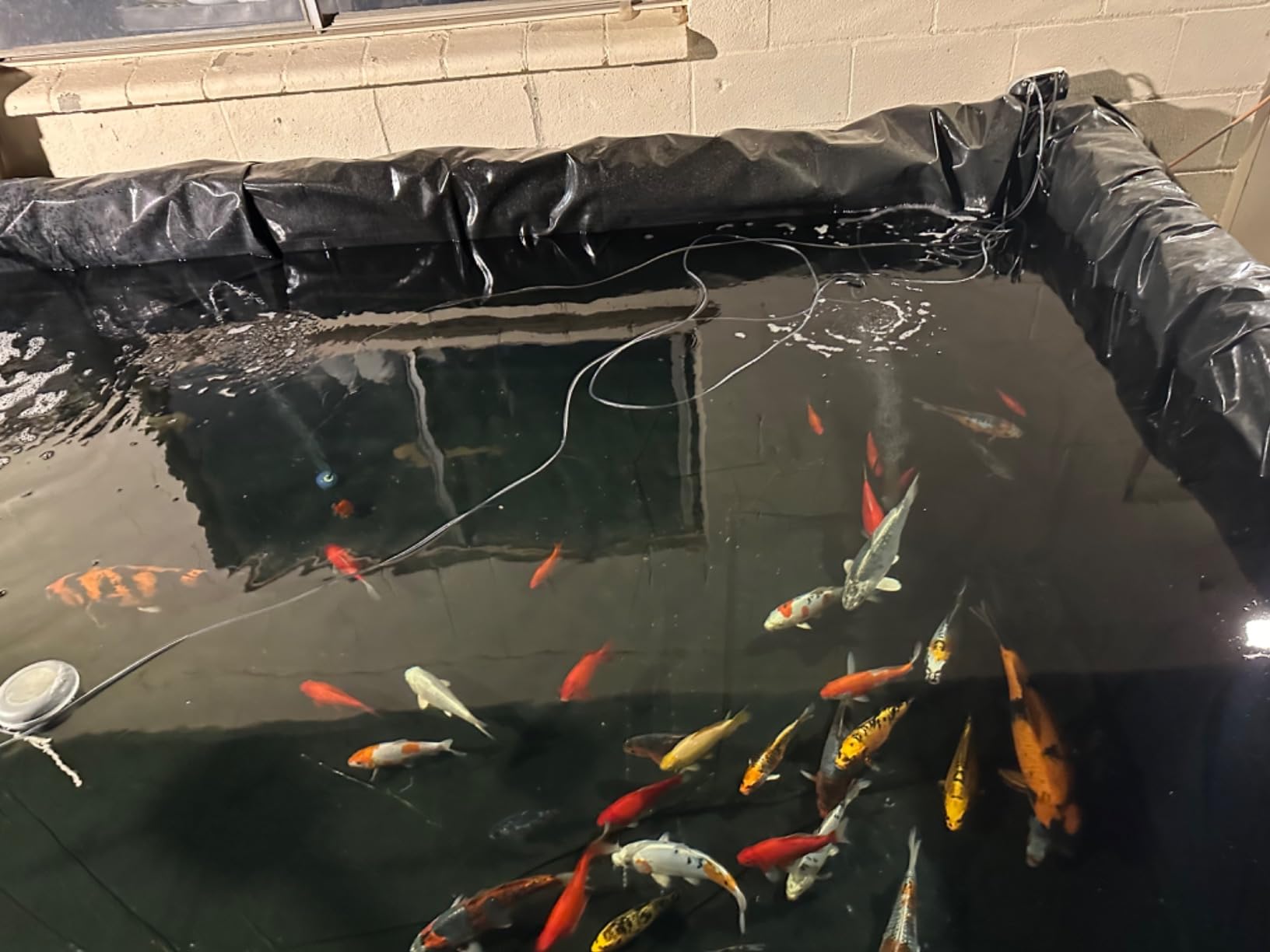 VIVOSUN 10 x 13 Feet Pond Liner, 14.5 Mil Durable LLDPE Pond Liners for Koi Ponds, Aquaculture and Water Gardens, Black customer photo 2